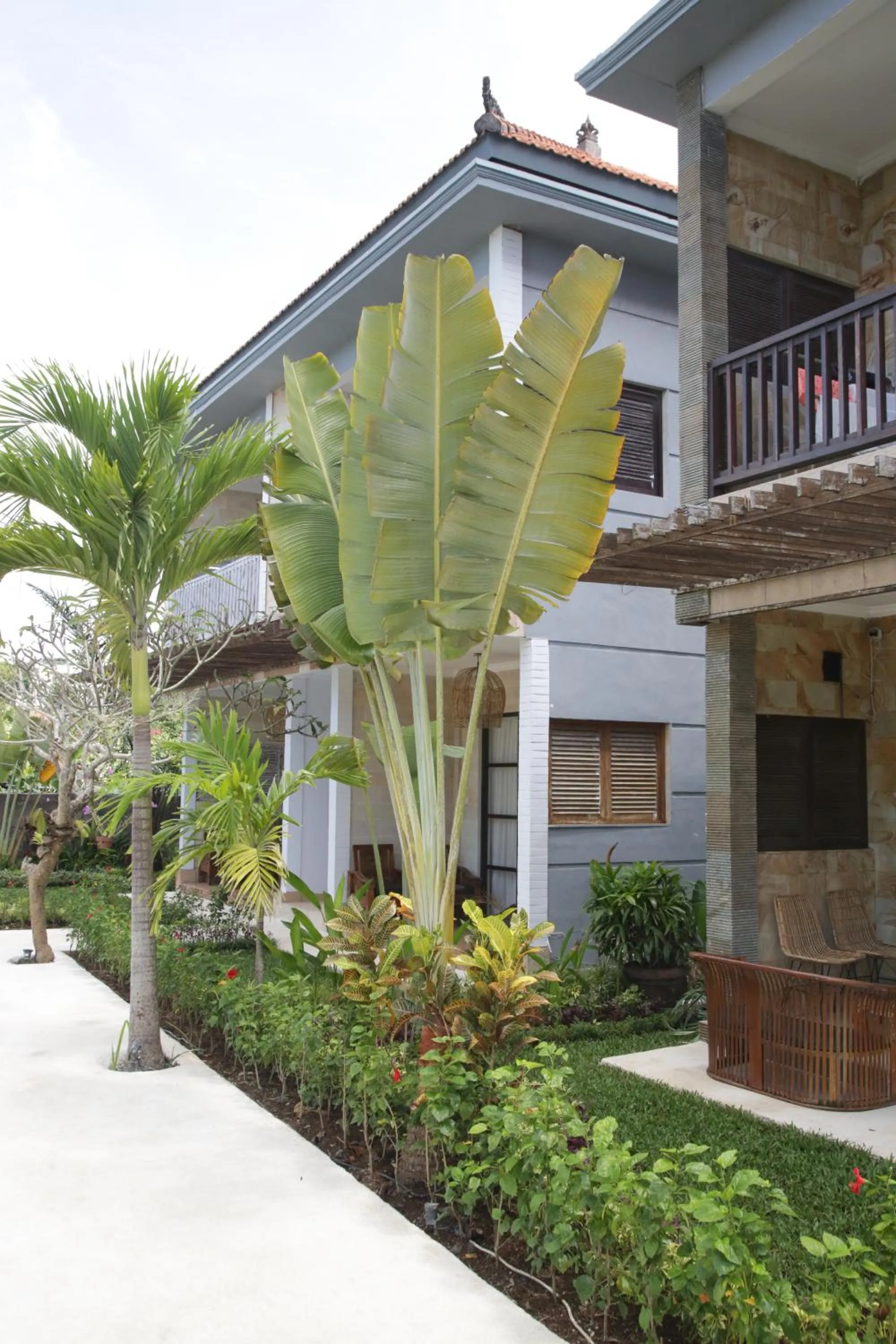 Mangga Wangga Living