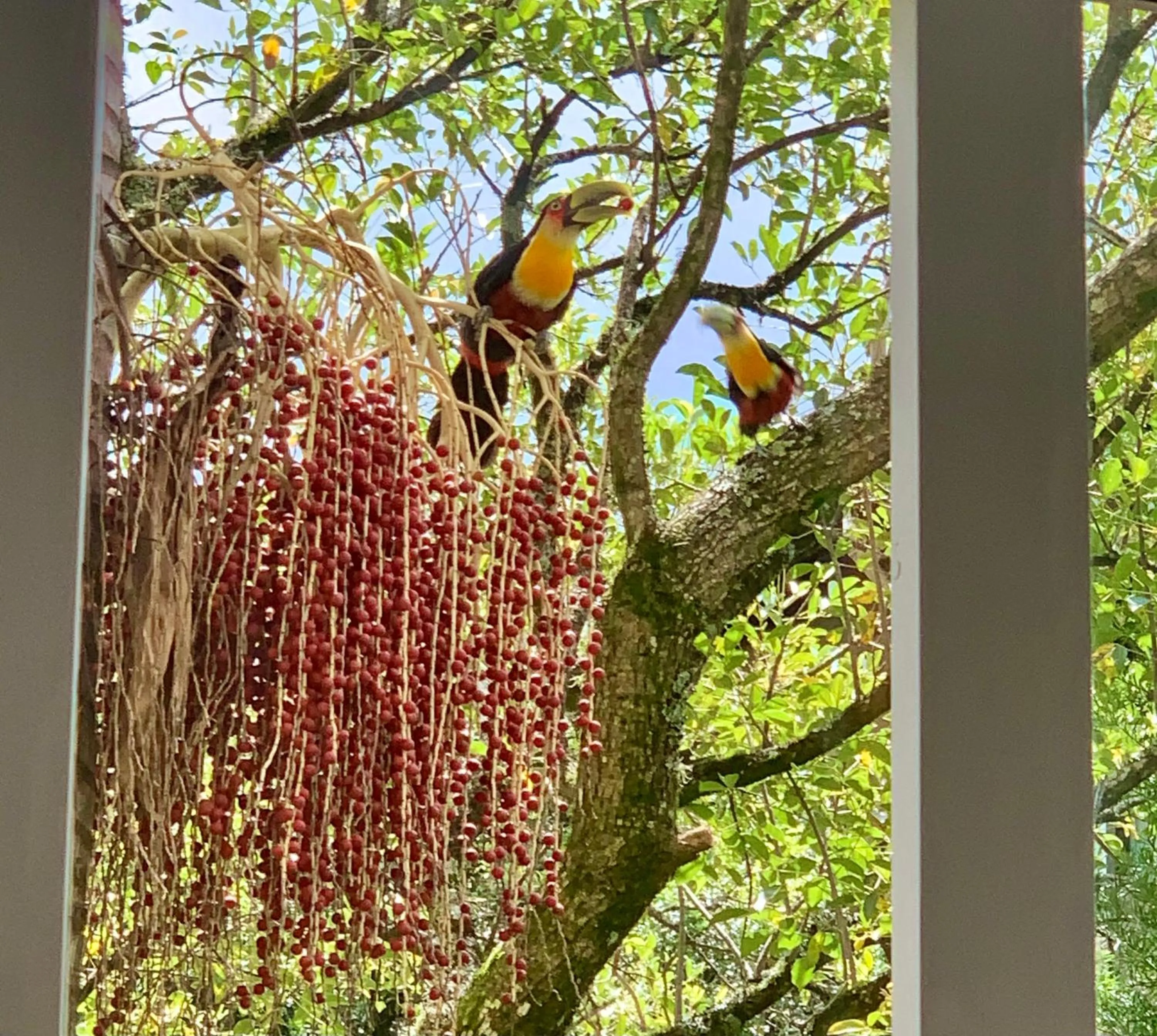 View (from property/room) in Flat Wish Serrano Hotel