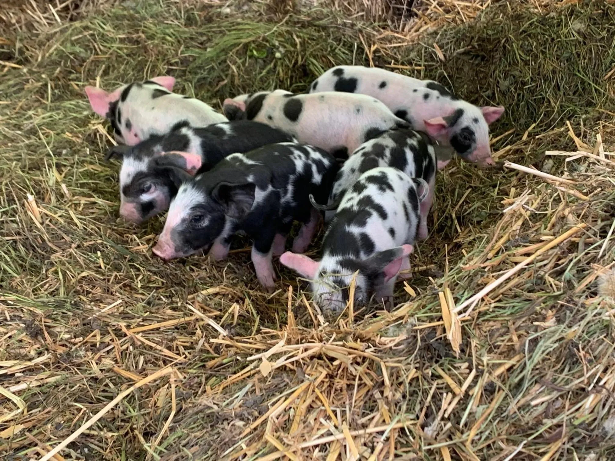 Decorative detail in Hørhaven B&B