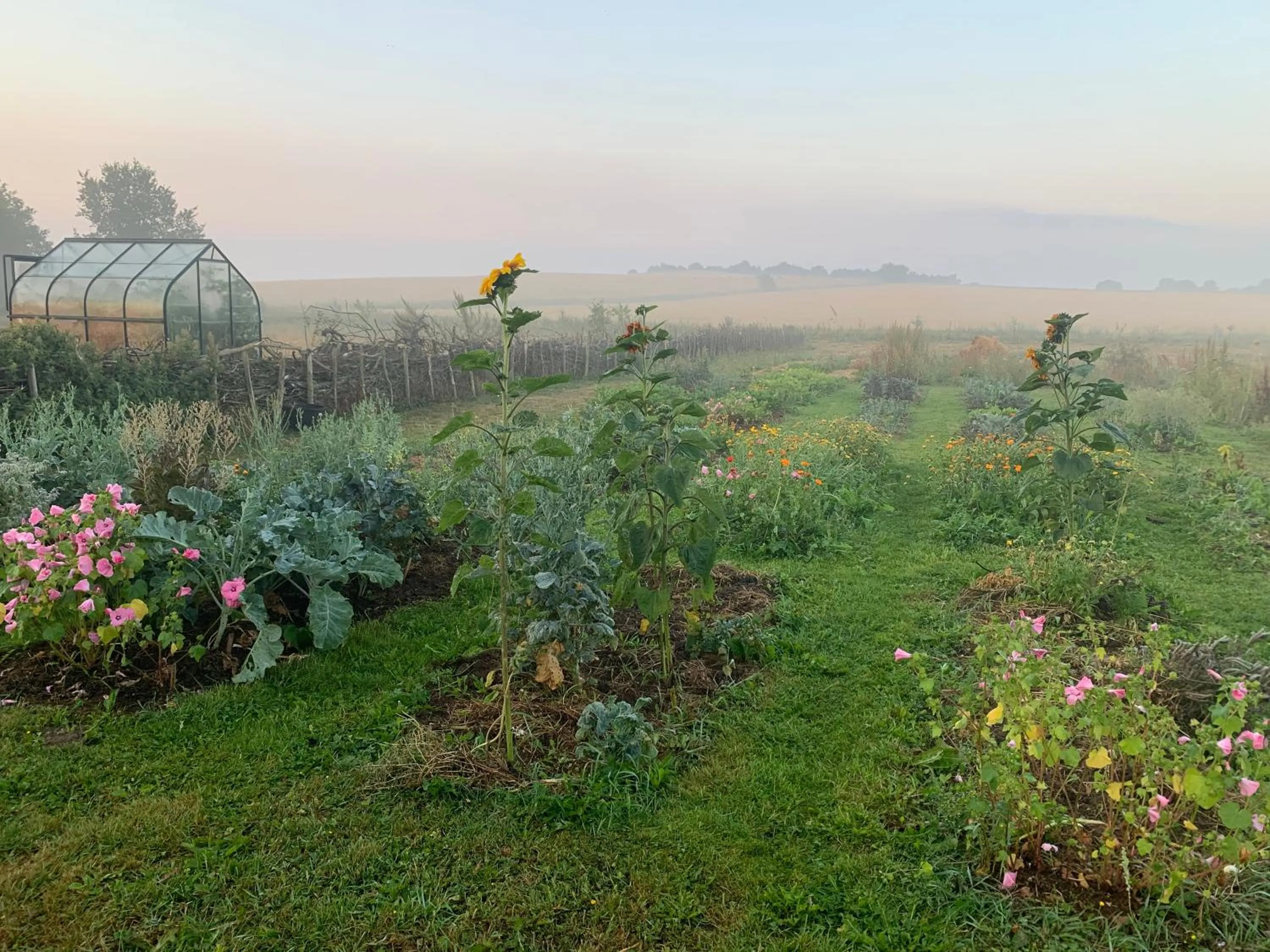 Natural landscape in Hørhaven B&B