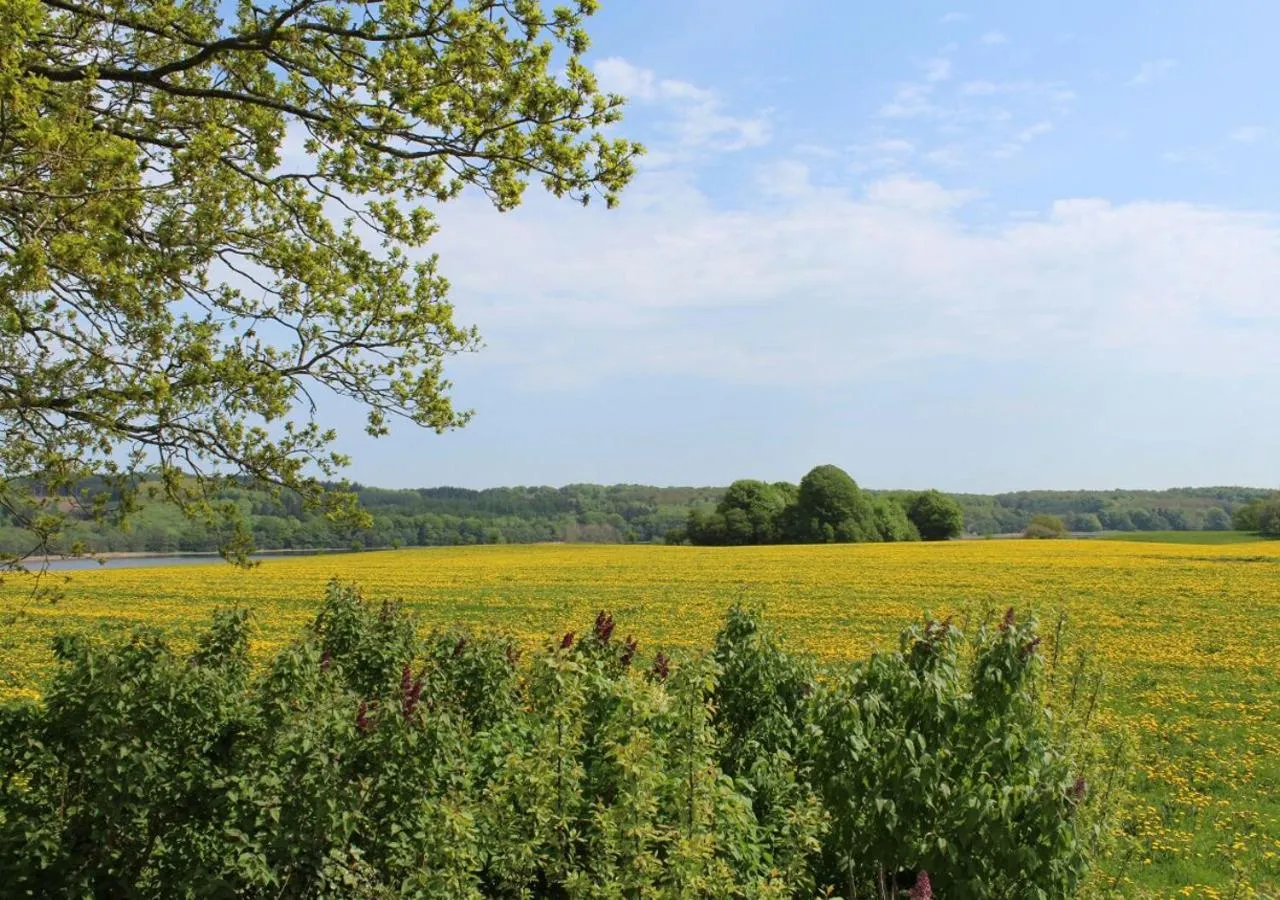 Lake view in Hørhaven B&B
