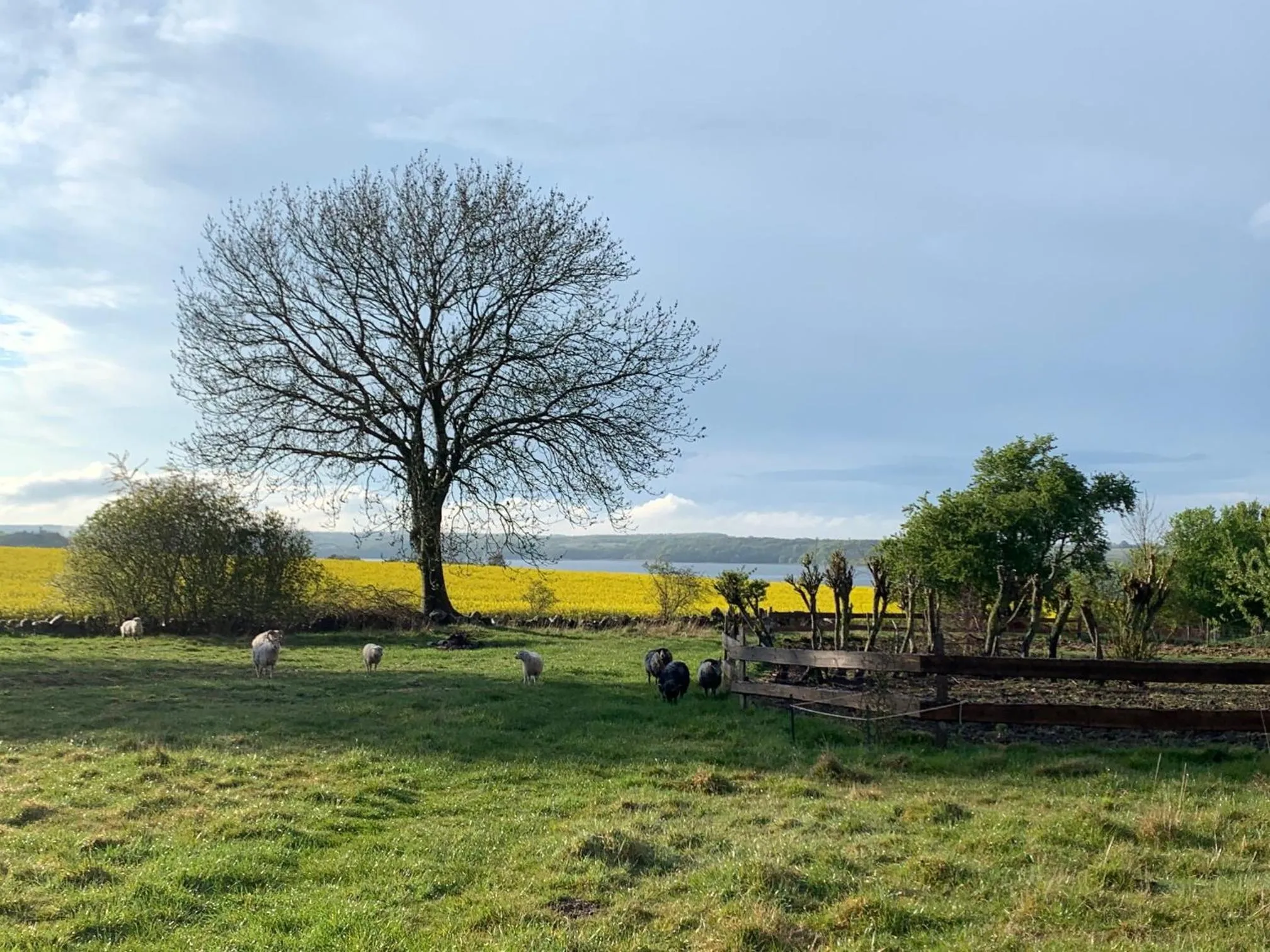Natural landscape in Hørhaven B&B