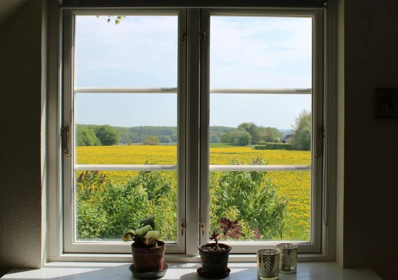 Garden view in Hørhaven B&B