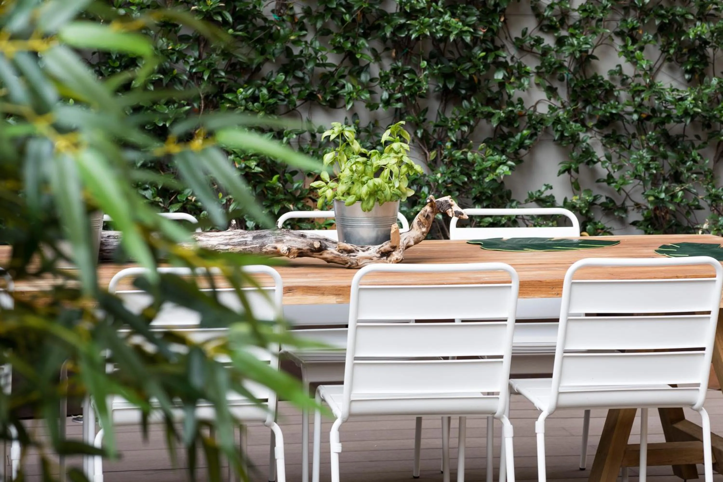 Garden in Eco Urban B&B