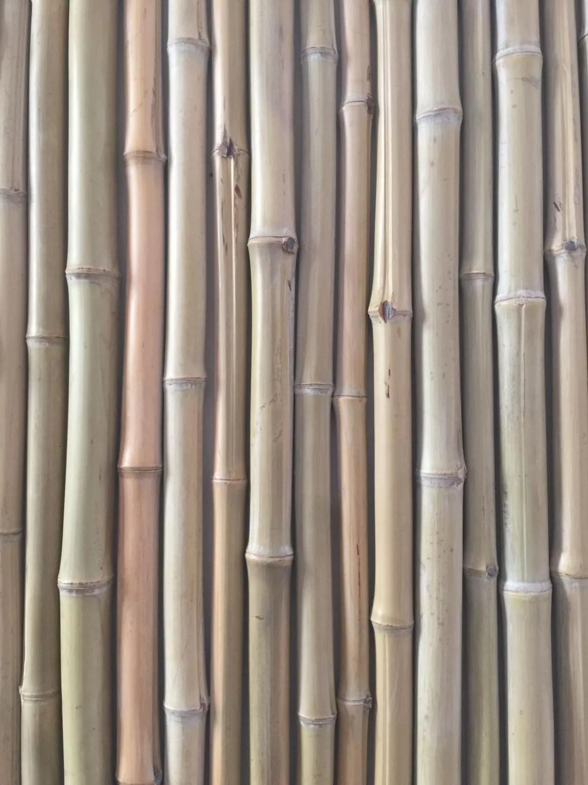 Decorative detail in Eco Urban B&B