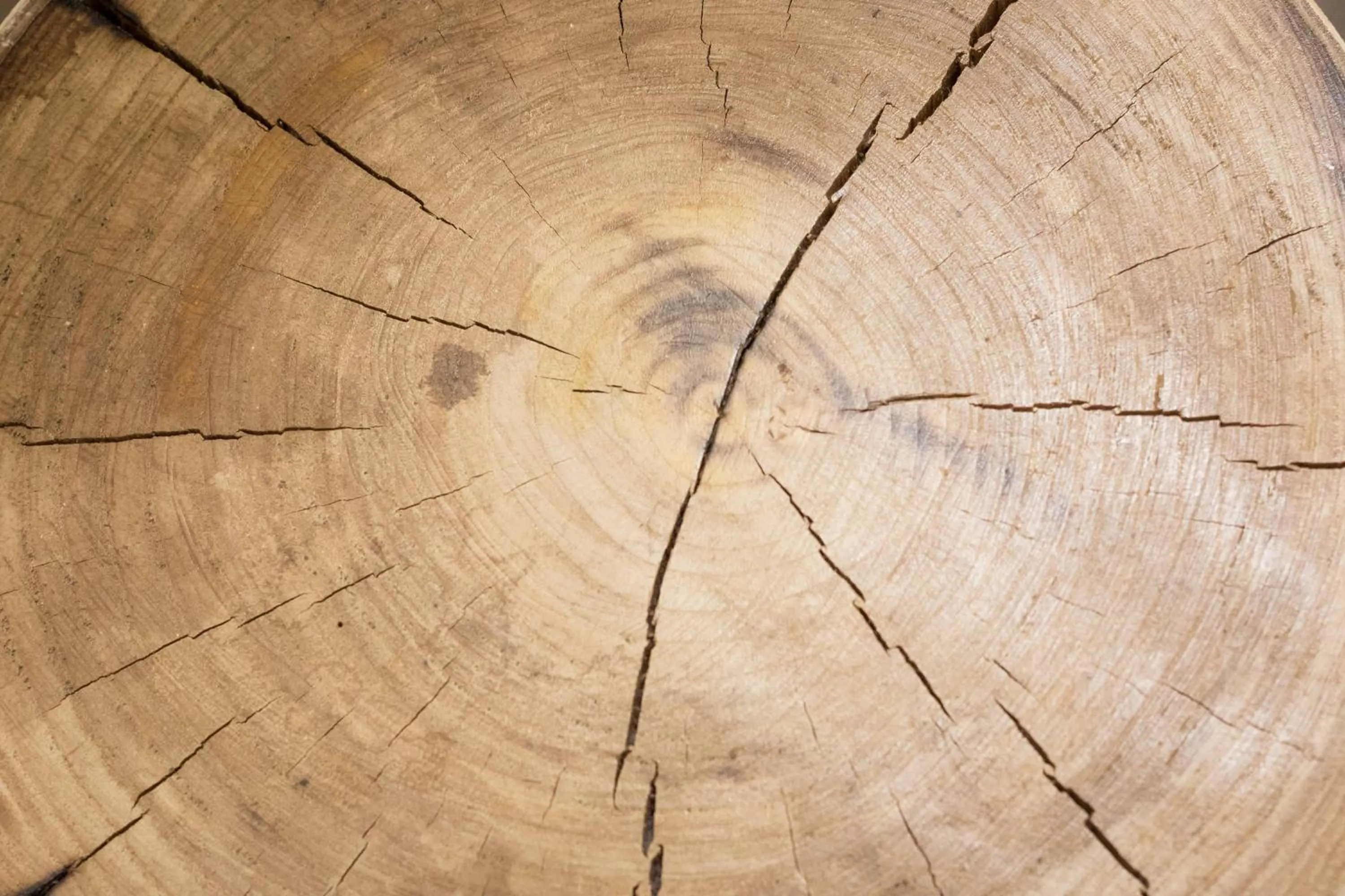 Decorative detail in Eco Urban B&B