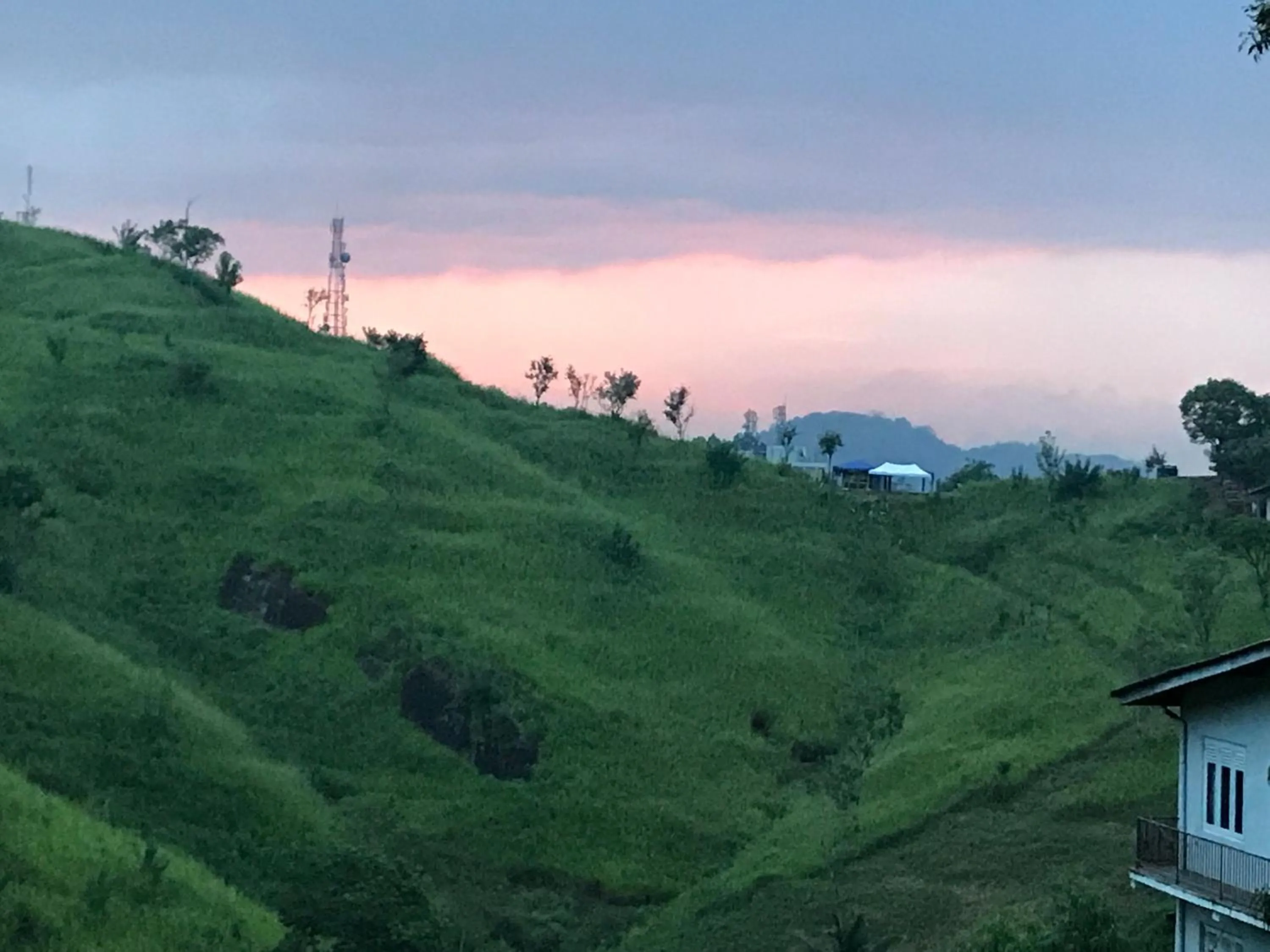 Tikiri Latha