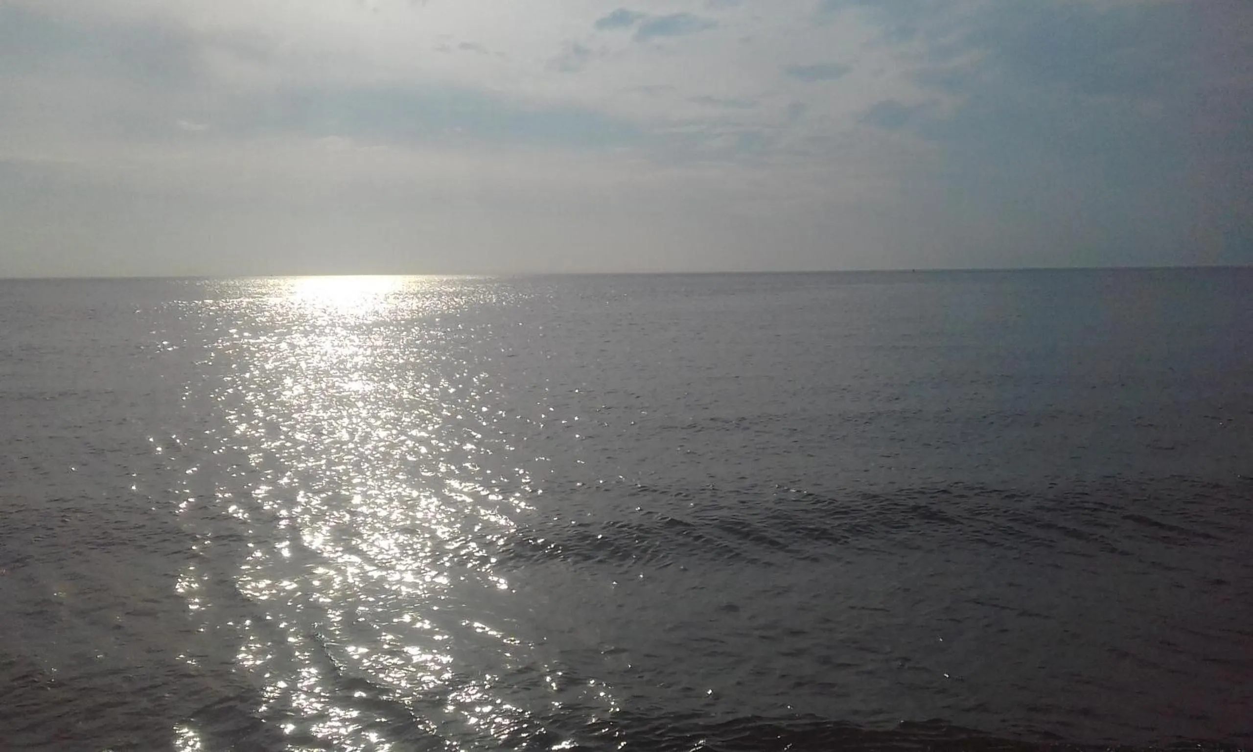 Natural landscape in B&B boerderij rust, in pipowagens!