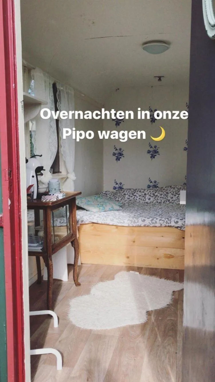 B&B boerderij rust, in pipowagens!