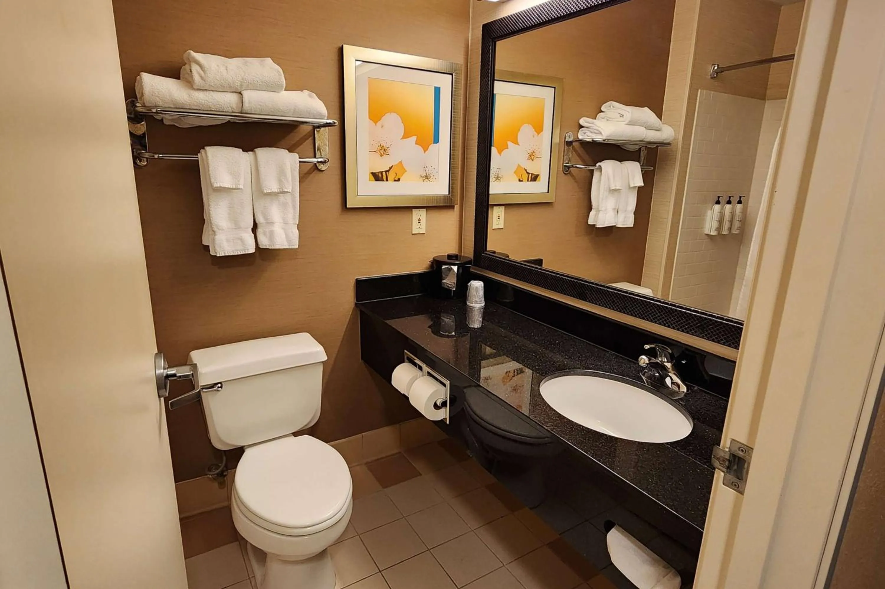 TV and multimedia in Fairfield Inn & Suites St. Cloud