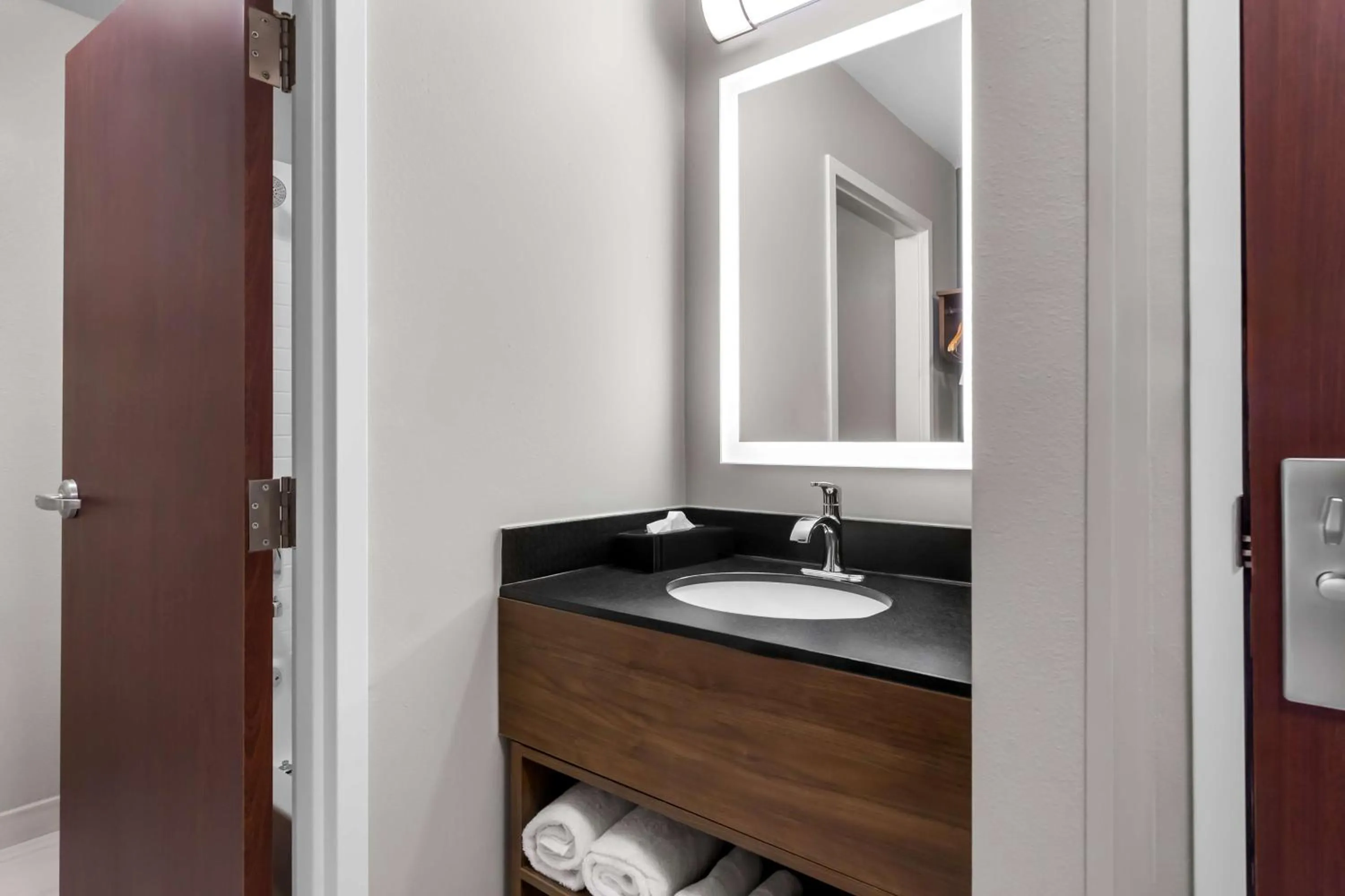 Bathroom in Best Western Plus Fenton