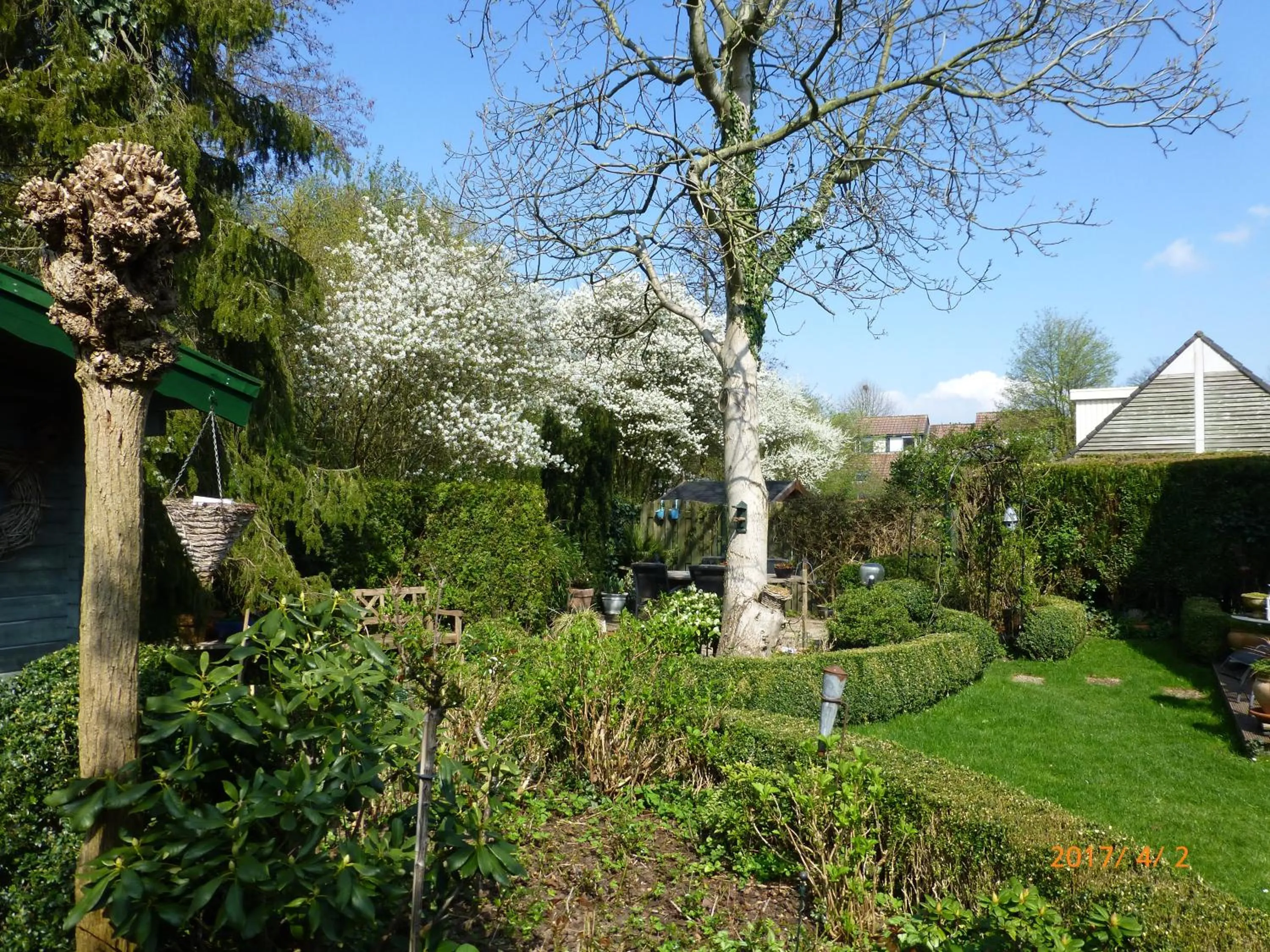 Garden in Wiersse 68