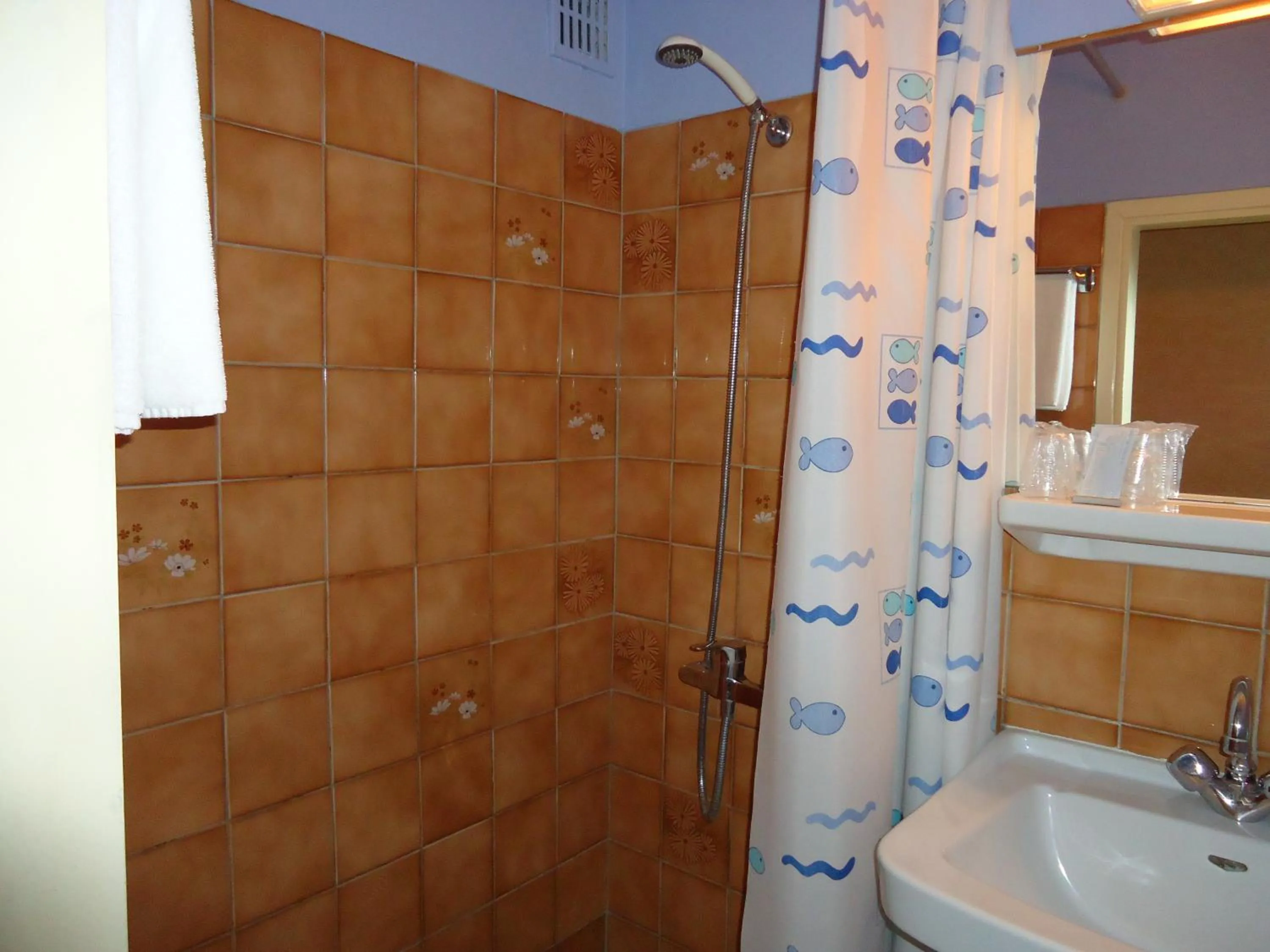 Bathroom in Hotel des Voyageurs