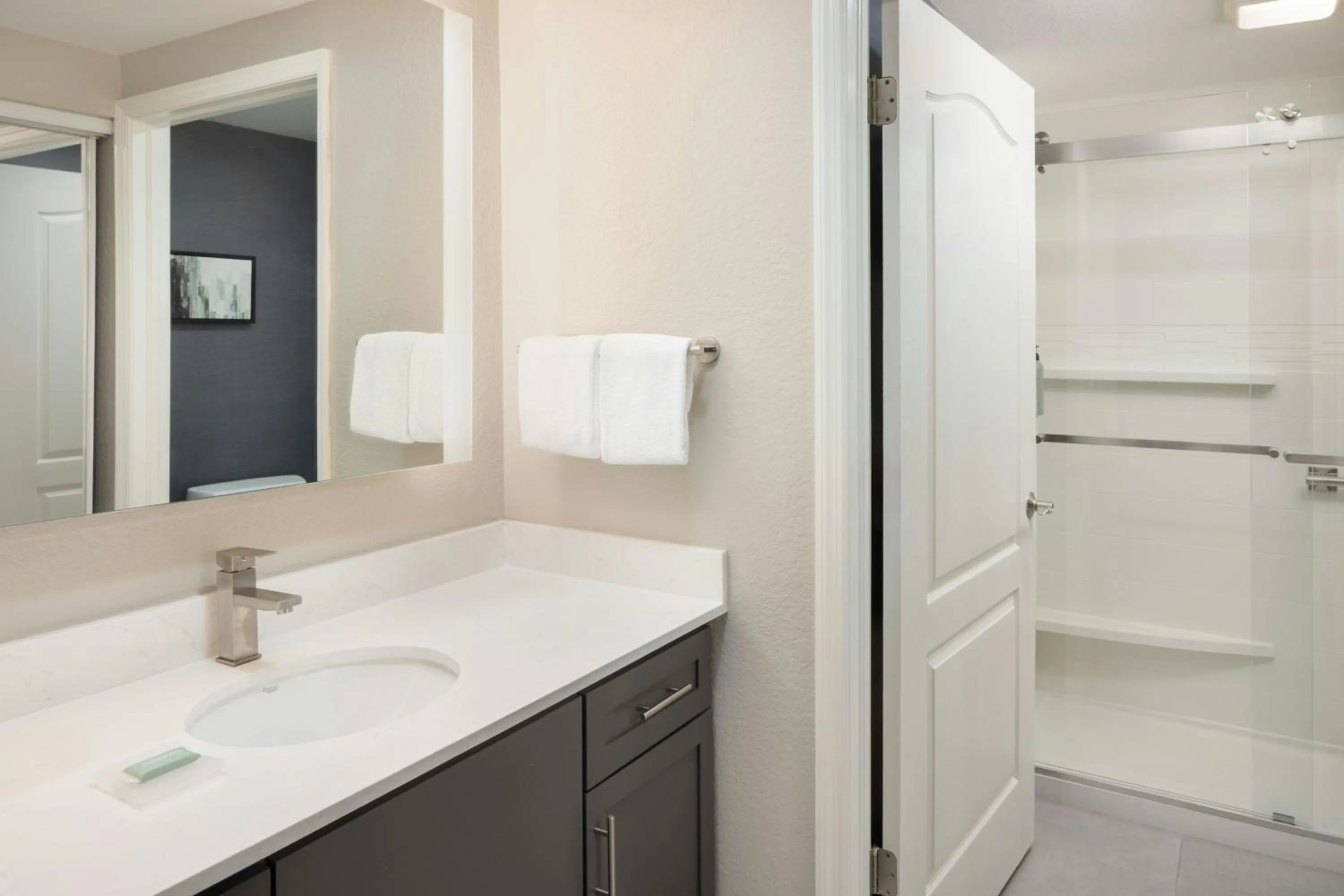 Bathroom in Residence Inn Tampa Suncoast Parkway at NorthPointe Village