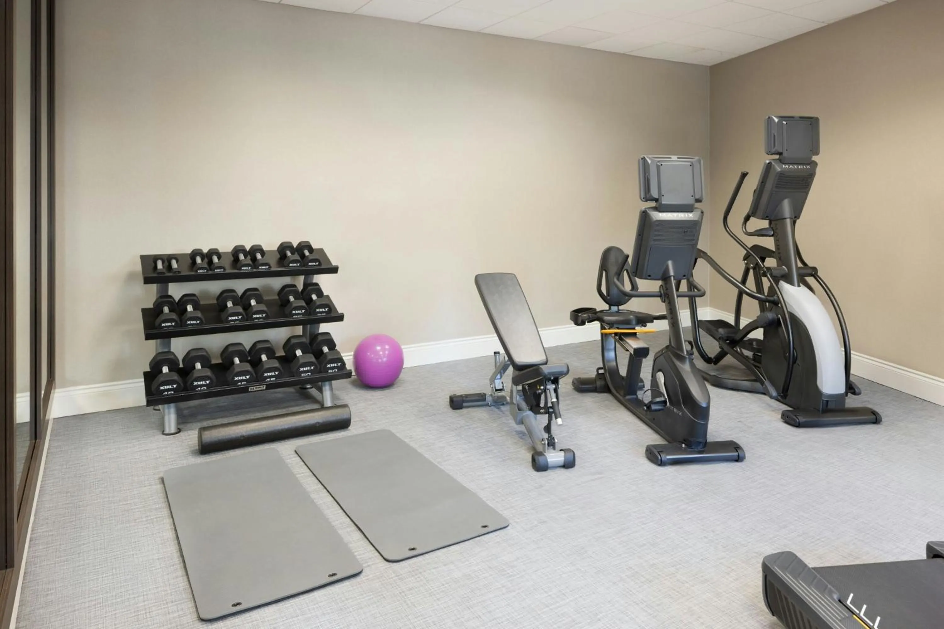Fitness centre/facilities in Residence Inn Tampa Suncoast Parkway at NorthPointe Village