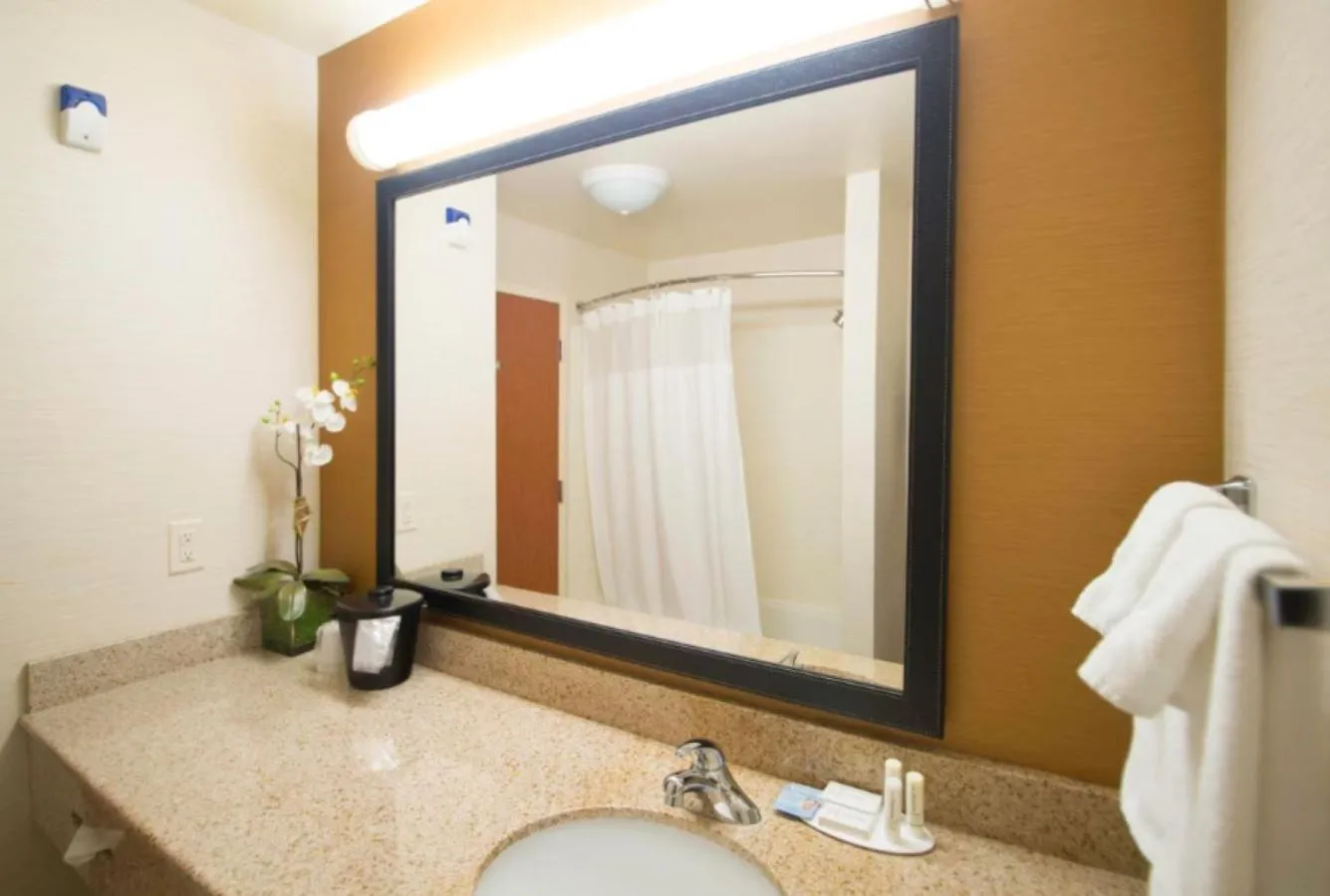 Bathroom in Fairfield Inn & Suites Burley