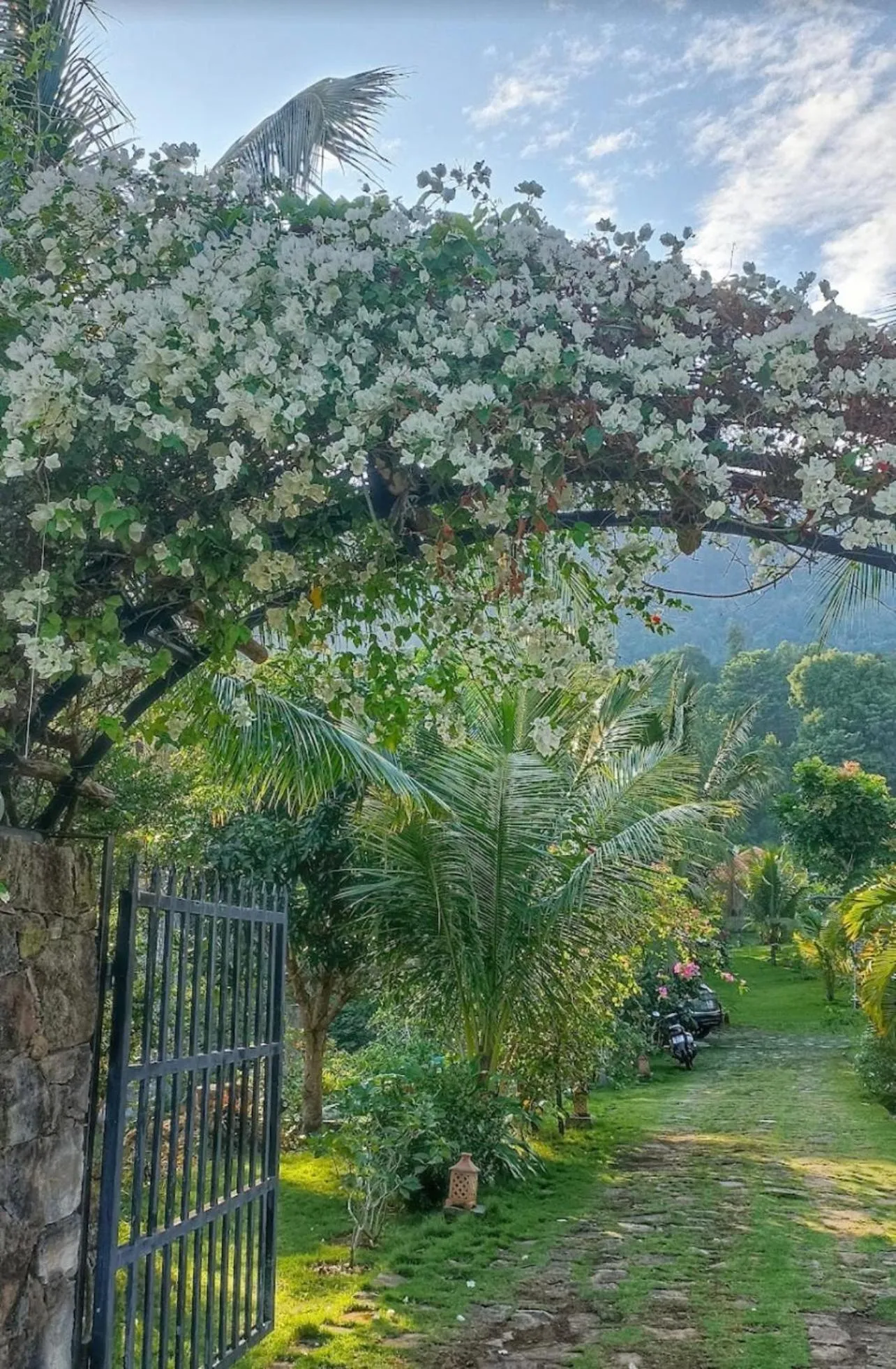 Facade/entrance in Freedom Beach Resort
