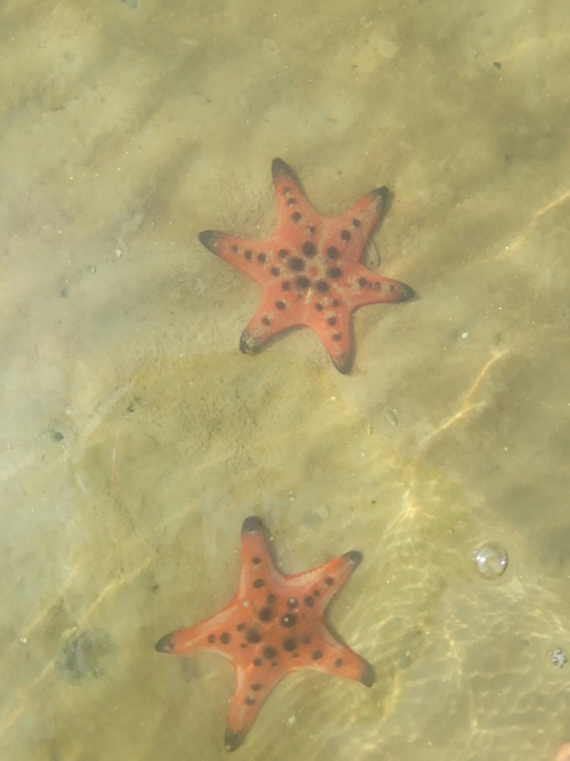 Natural landscape in Freedom Beach Resort
