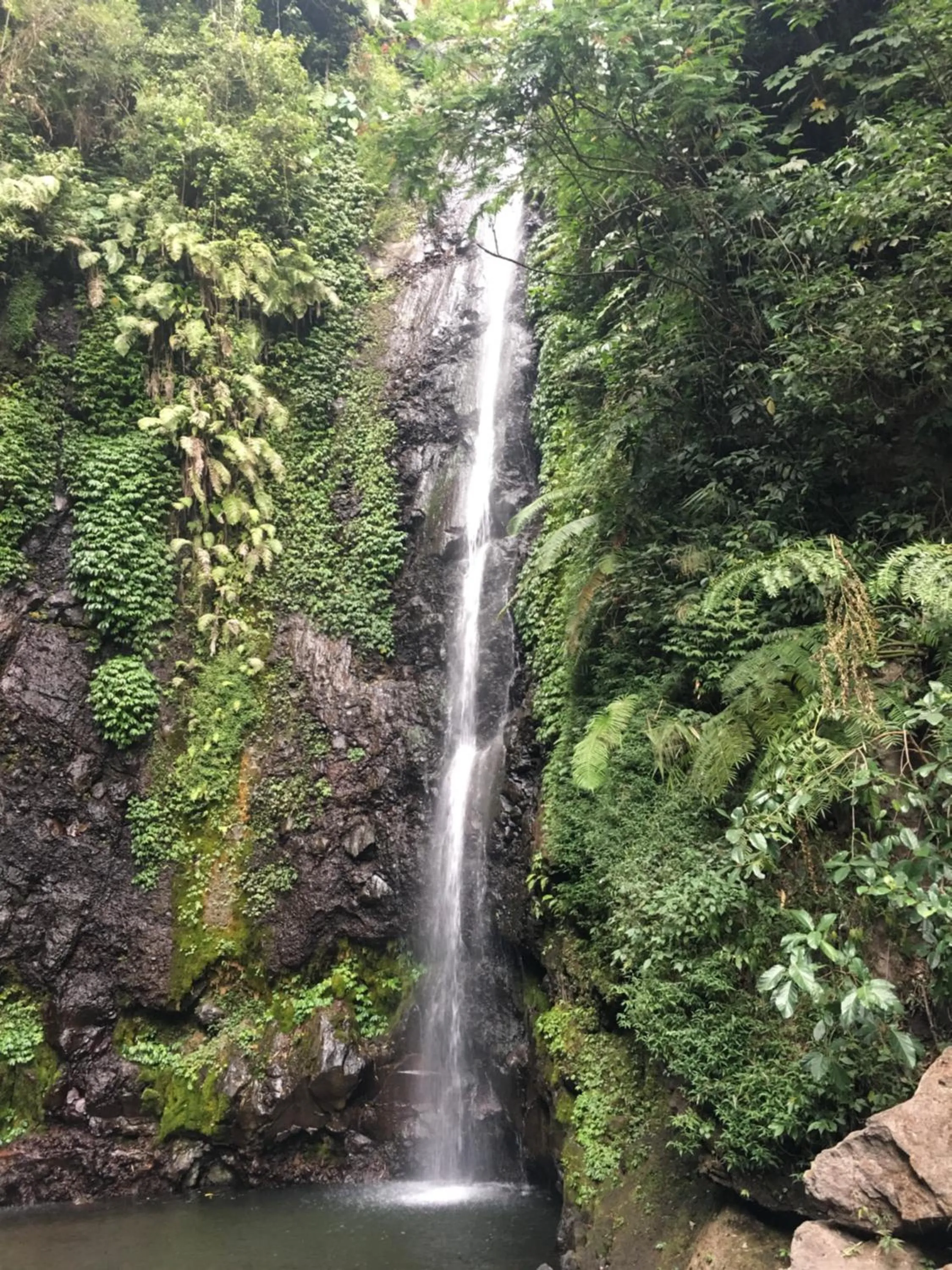 Natural landscape in Arainn Bed & Breakfast Tretes Prigen by ecommerceloka