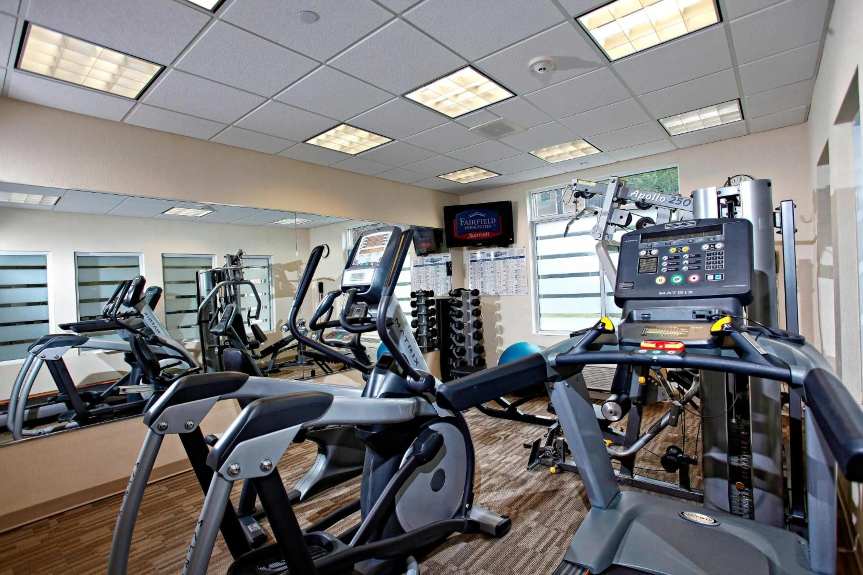 Fitness centre/facilities in Marriott Fairfield Sudbury