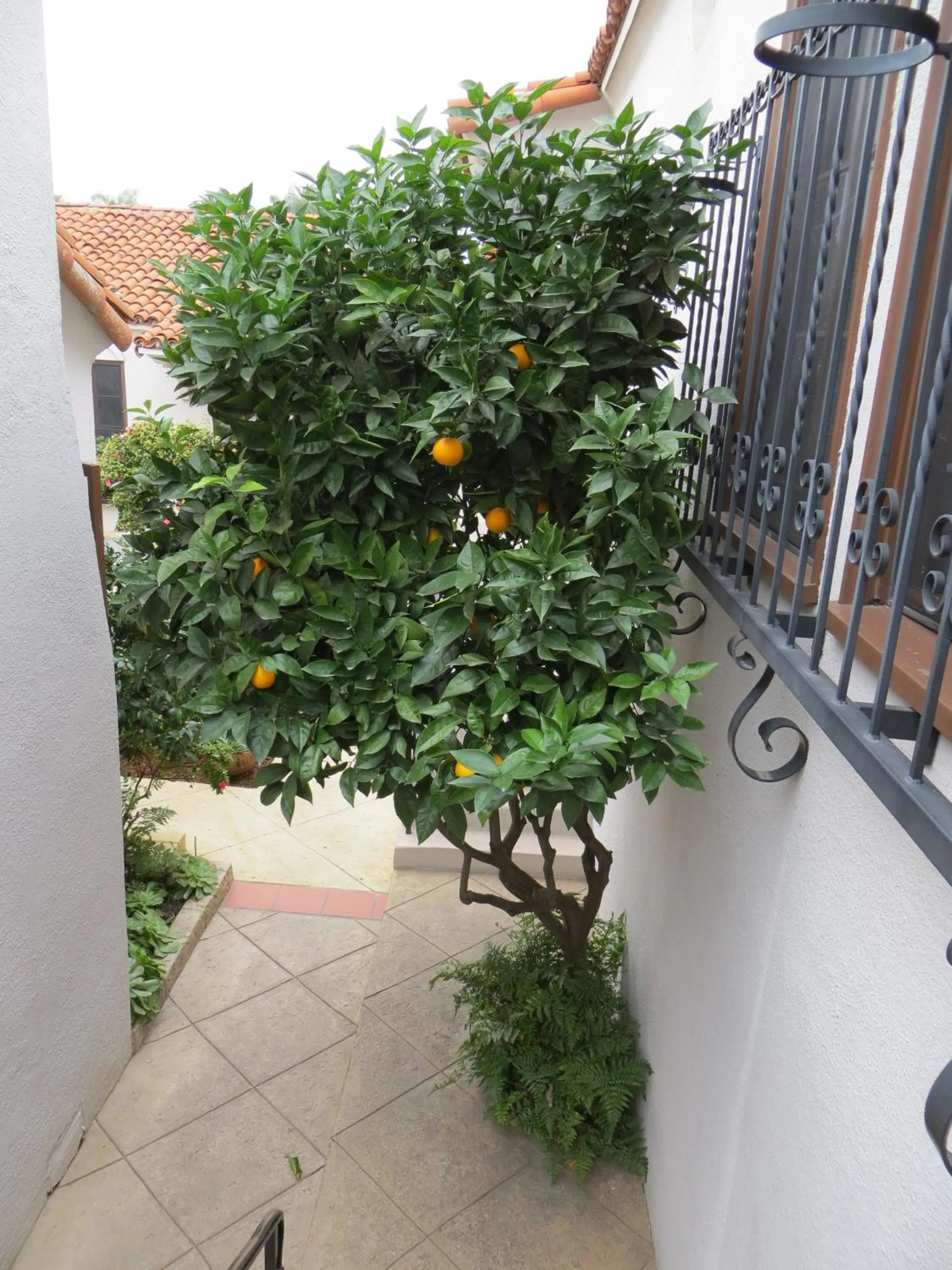 Decorative detail in Casa Del Mar Inn