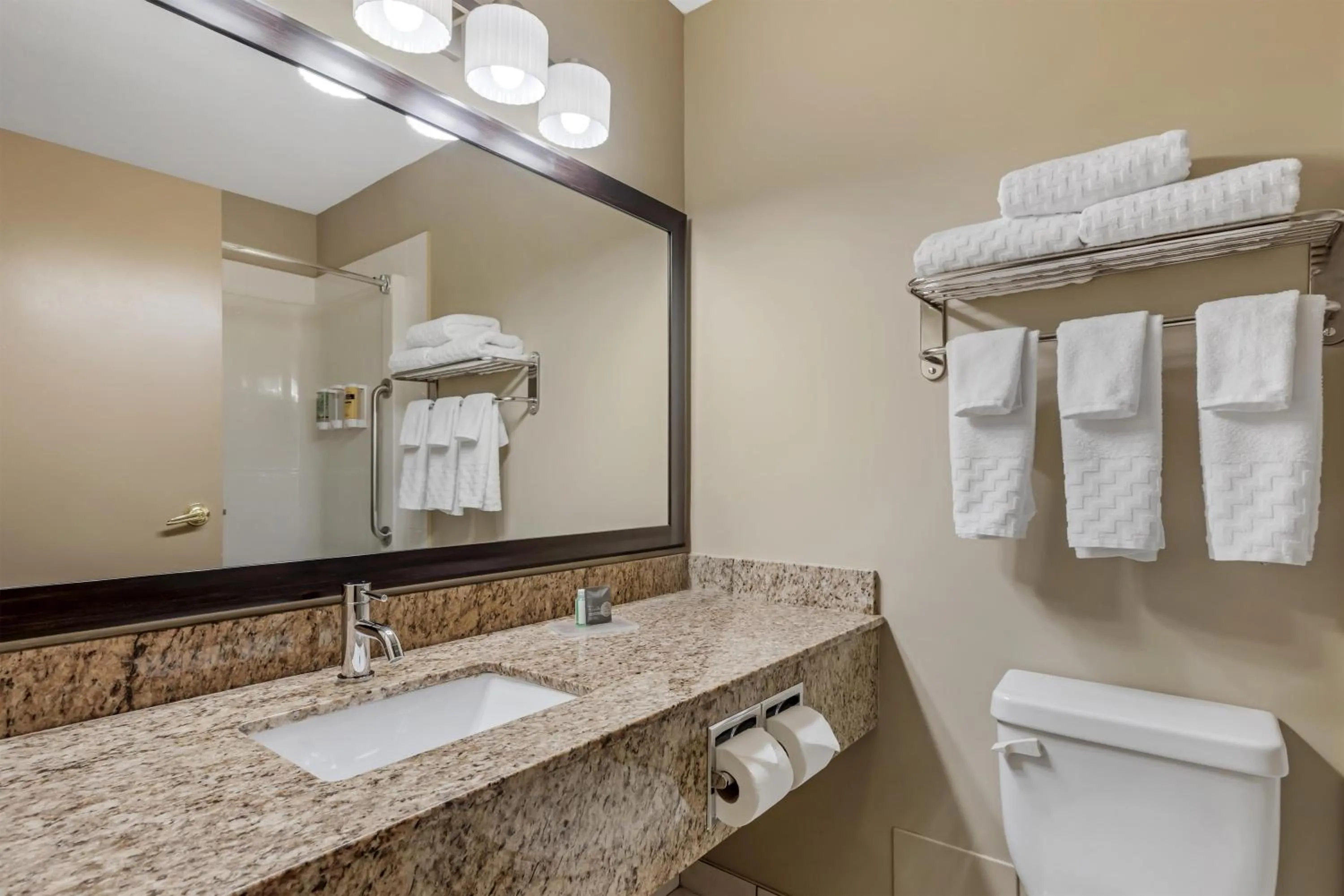 Bathroom in Best Western Plus Red Deer Inn & Suite