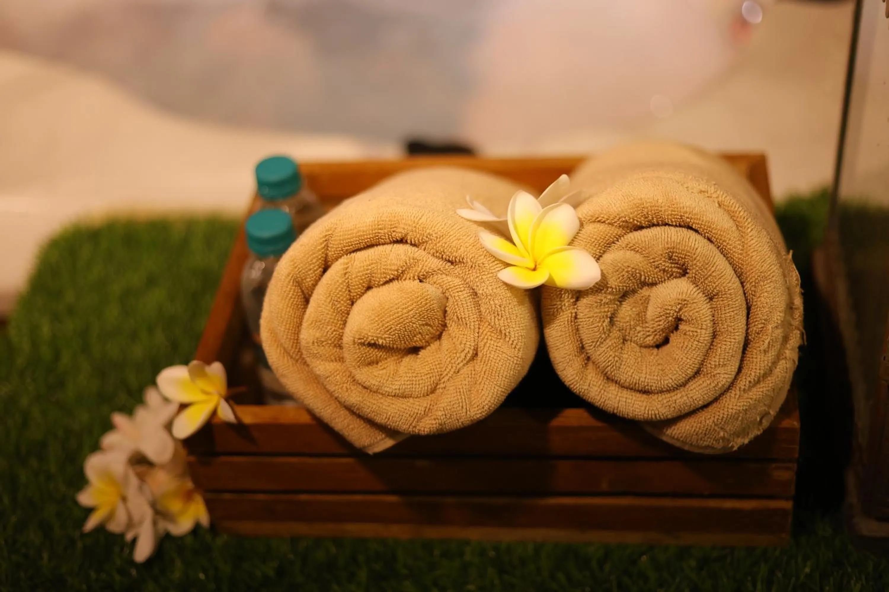 Spa and wellness centre/facilities in Hotel Natraj Rishikesh