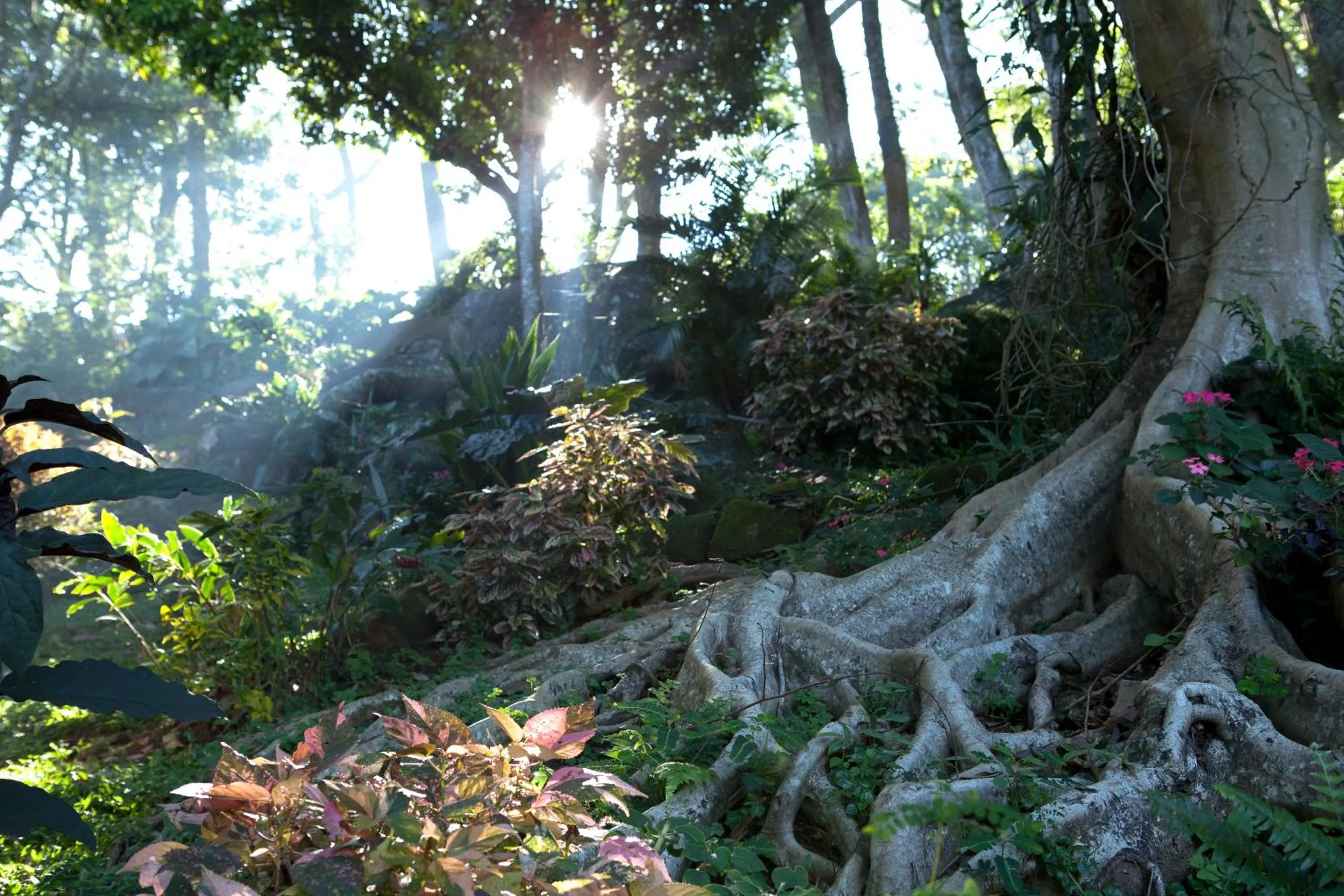 Area and facilities in Amaya Hills Kandy