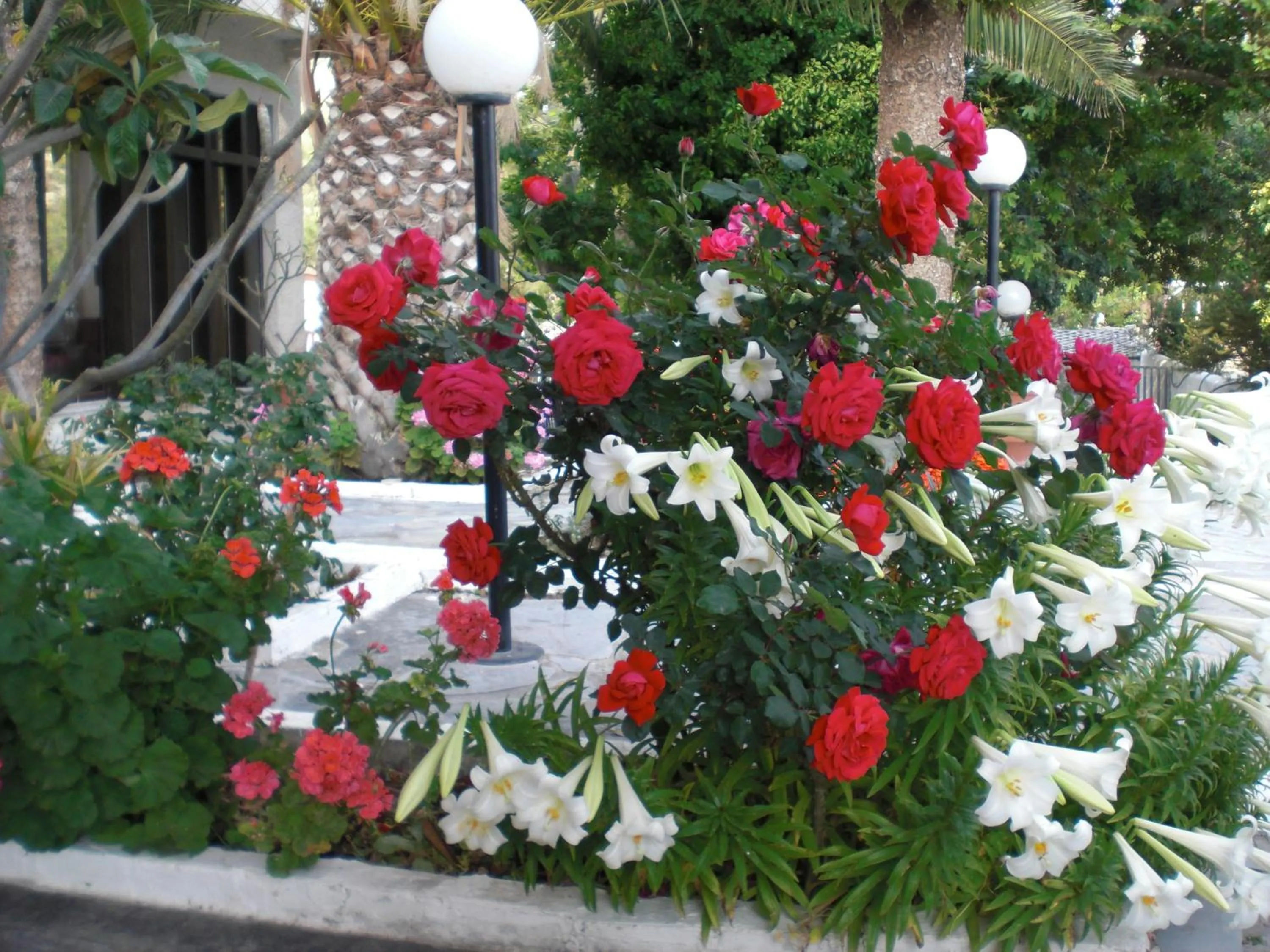 Garden in Esperides Hotel