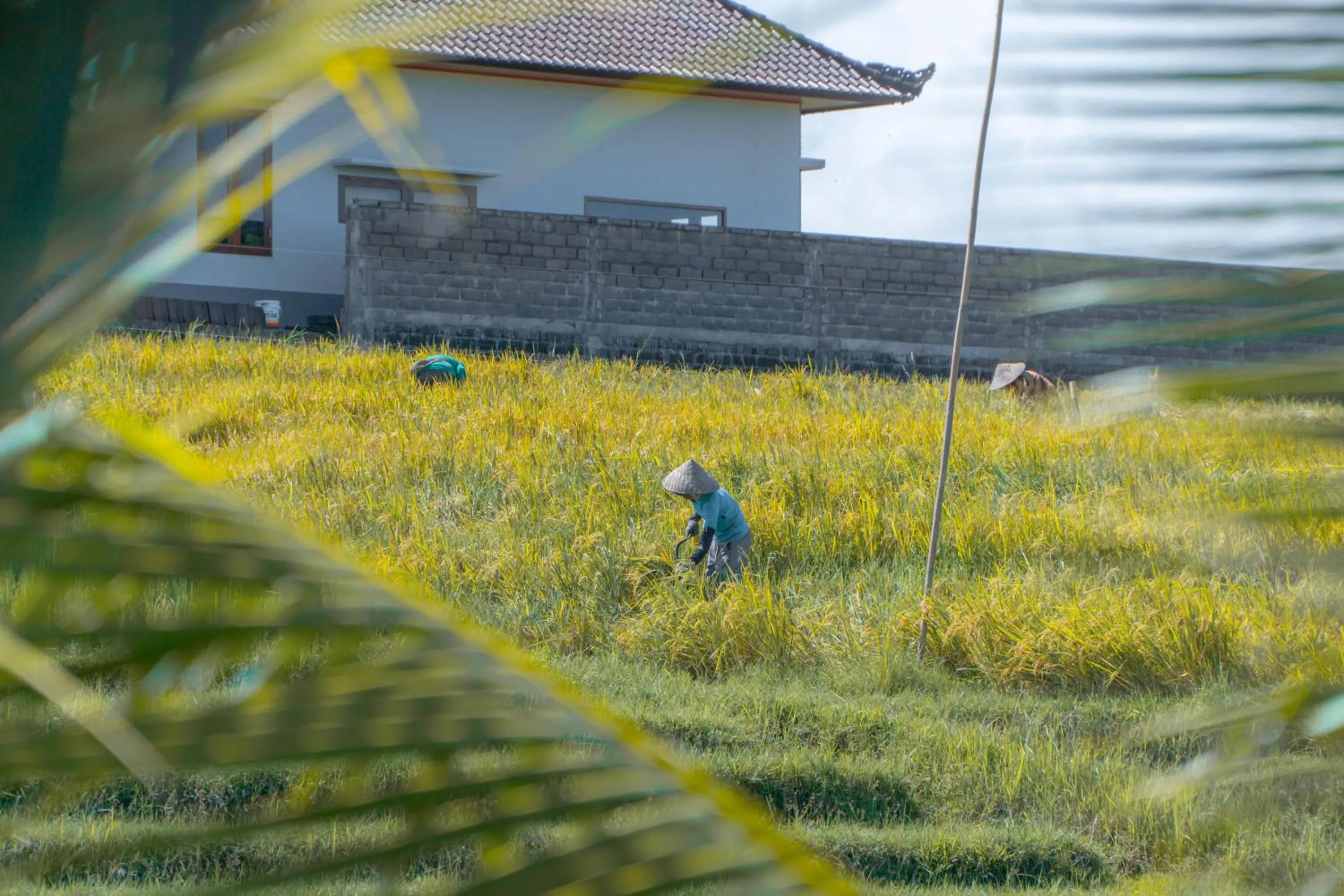 Day in Umadhatu Resort by Amerta