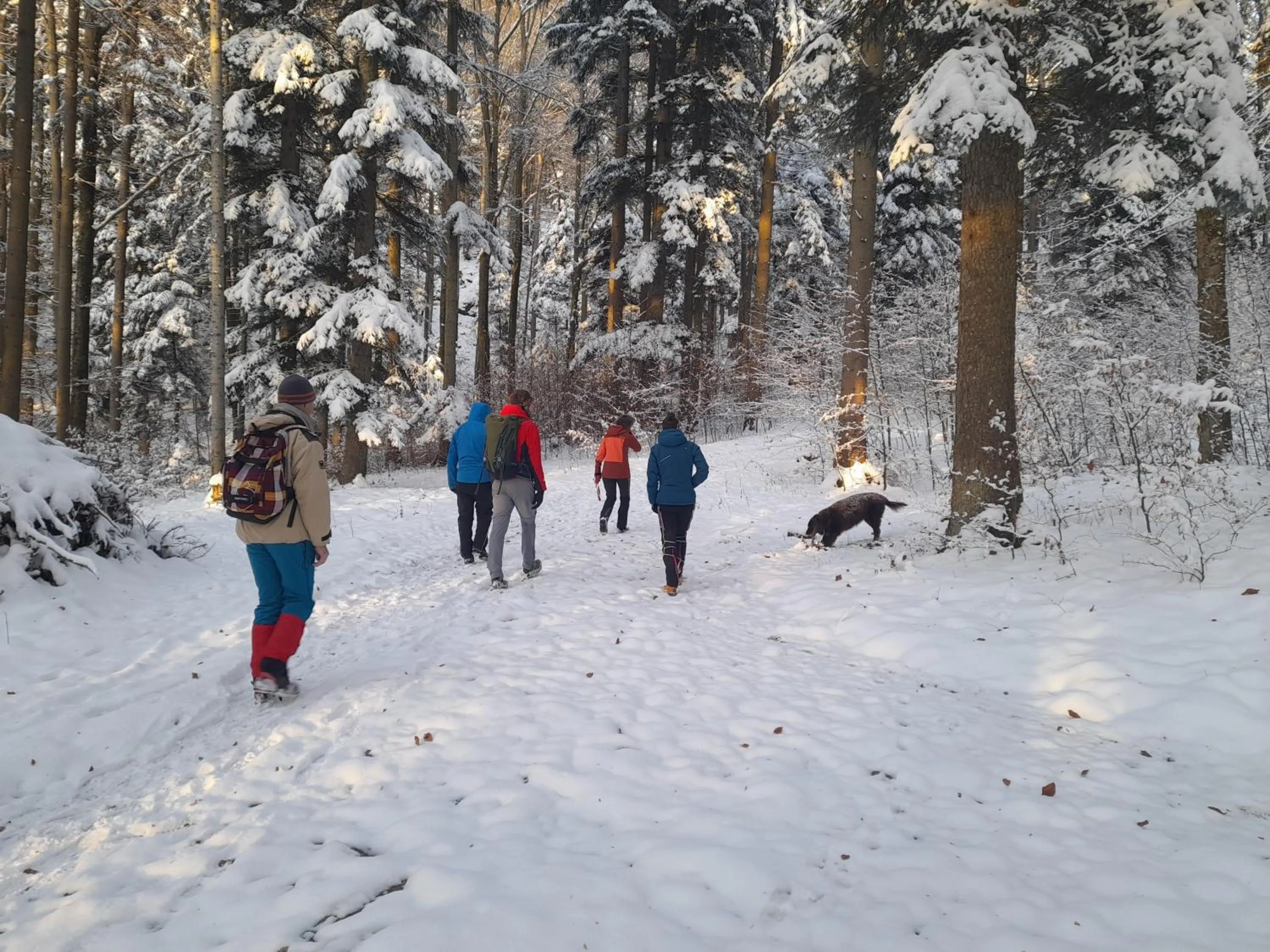 Natural landscape in Gasthof zum Postwirt