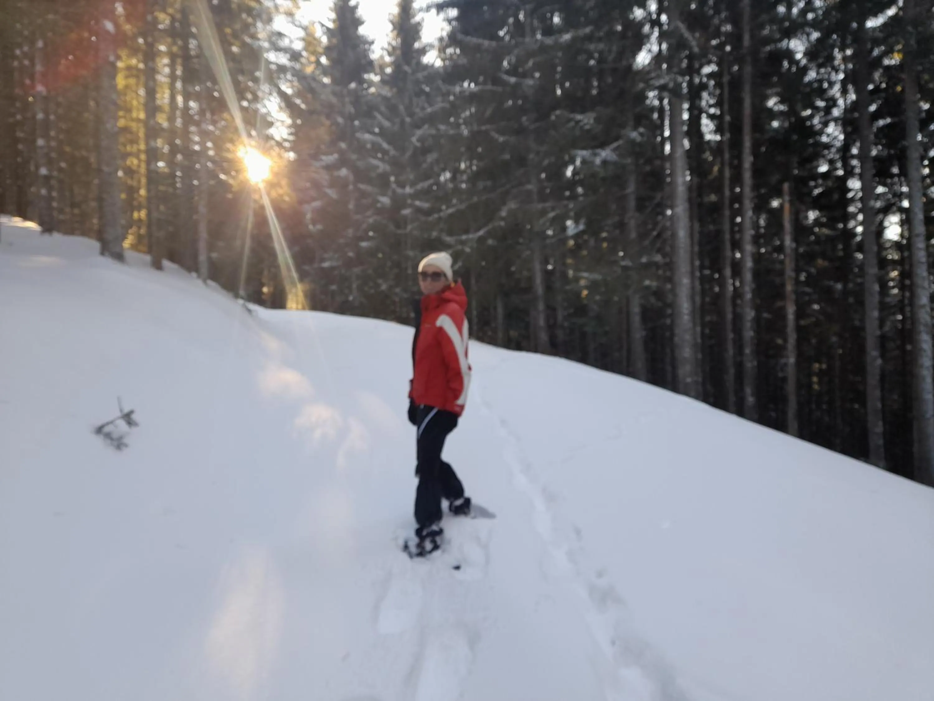 Natural landscape in Gasthof zum Postwirt