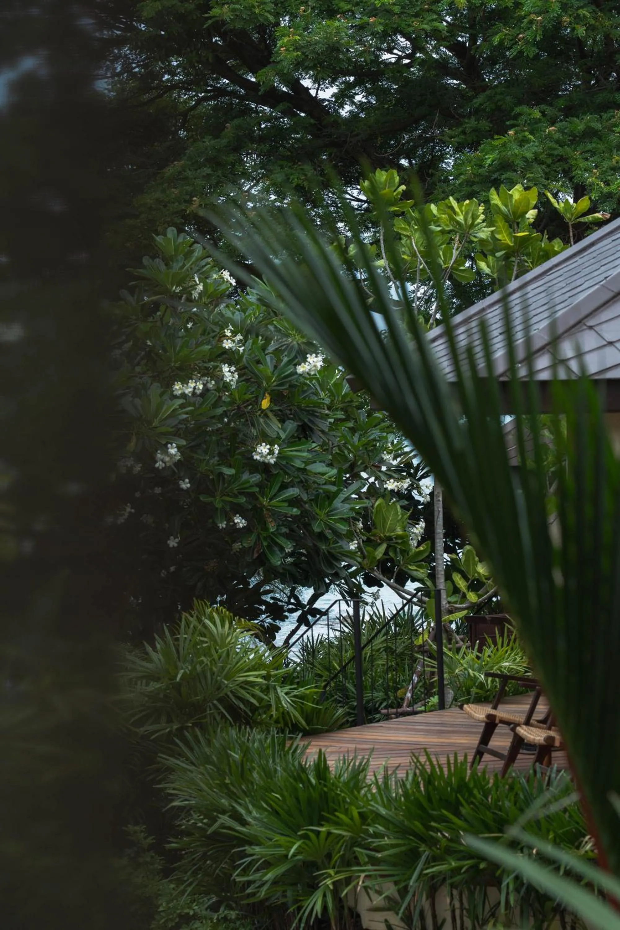Garden view in Kira Baya Koh Samed