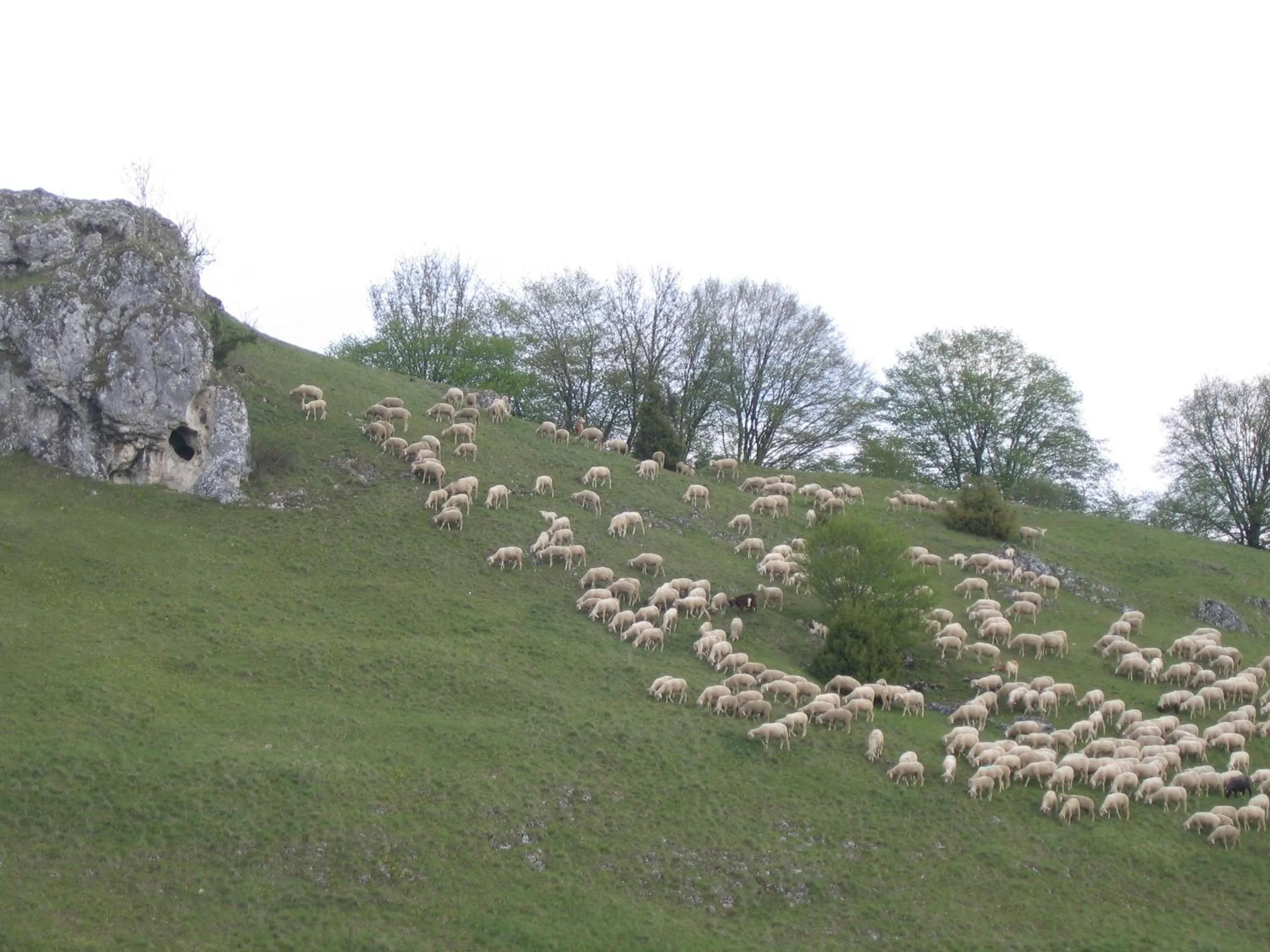 Sontheimer Wirtshäusle