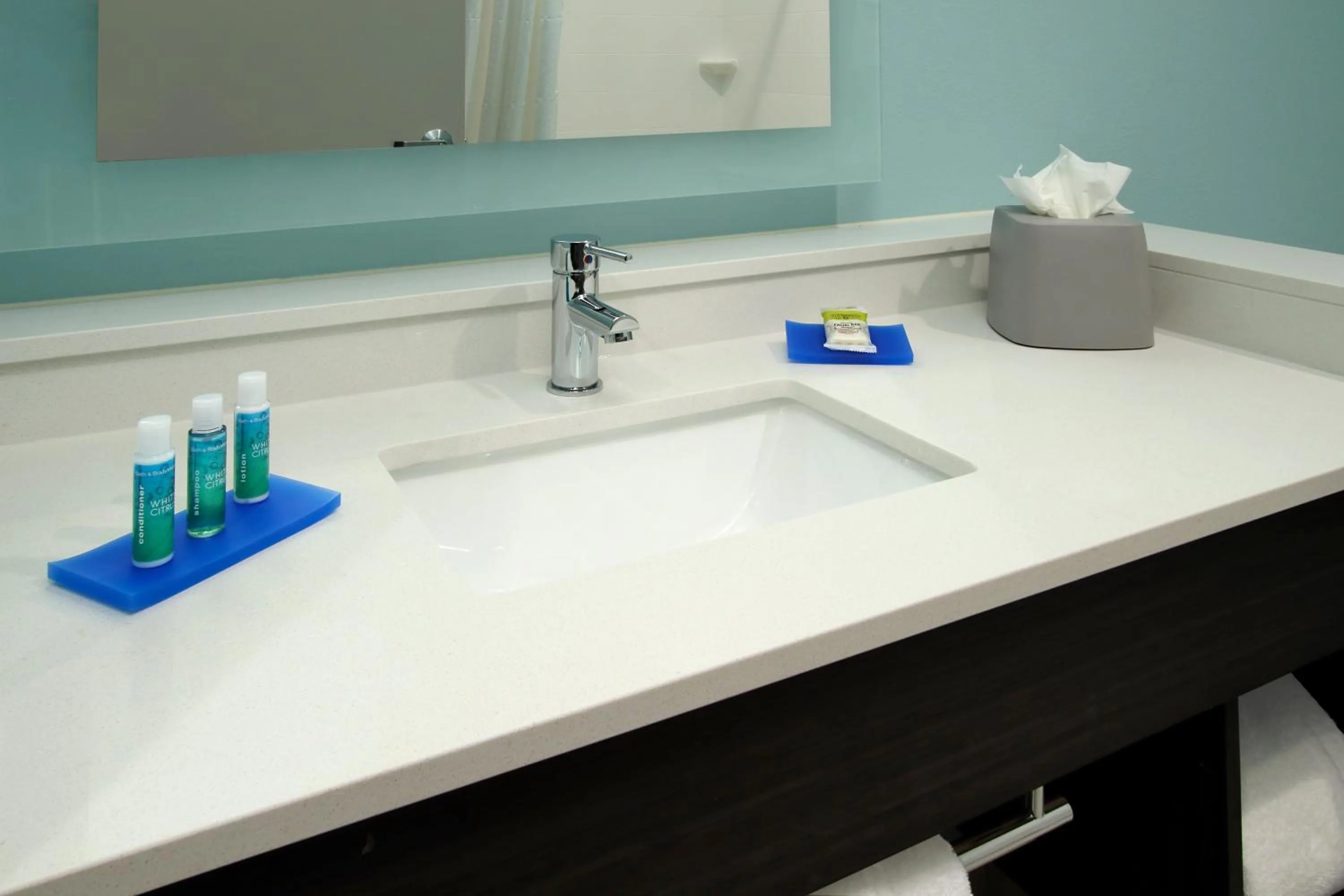 Bathroom in Holiday Inn Express & Suites - Lake Charles South Casino Area by IHG