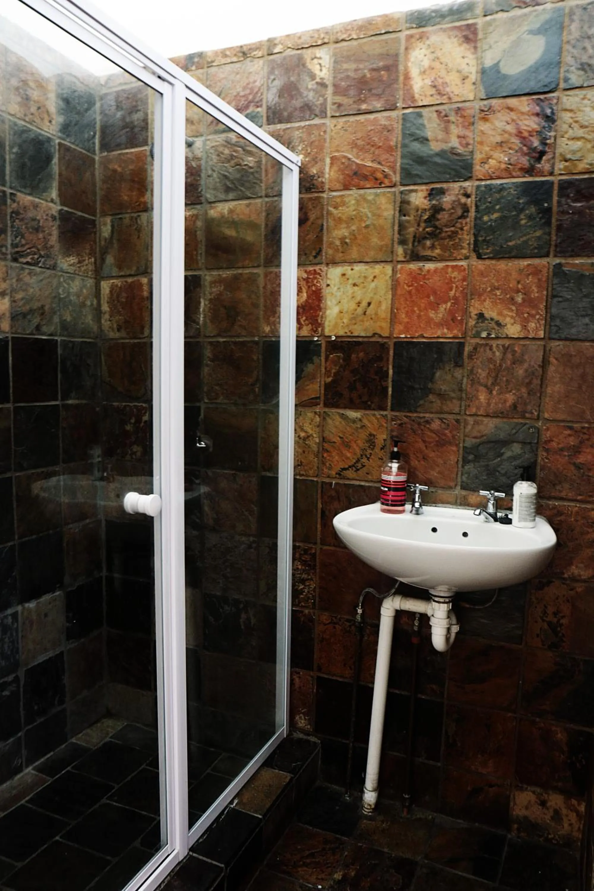 Shower in Urban Hive Backpackers