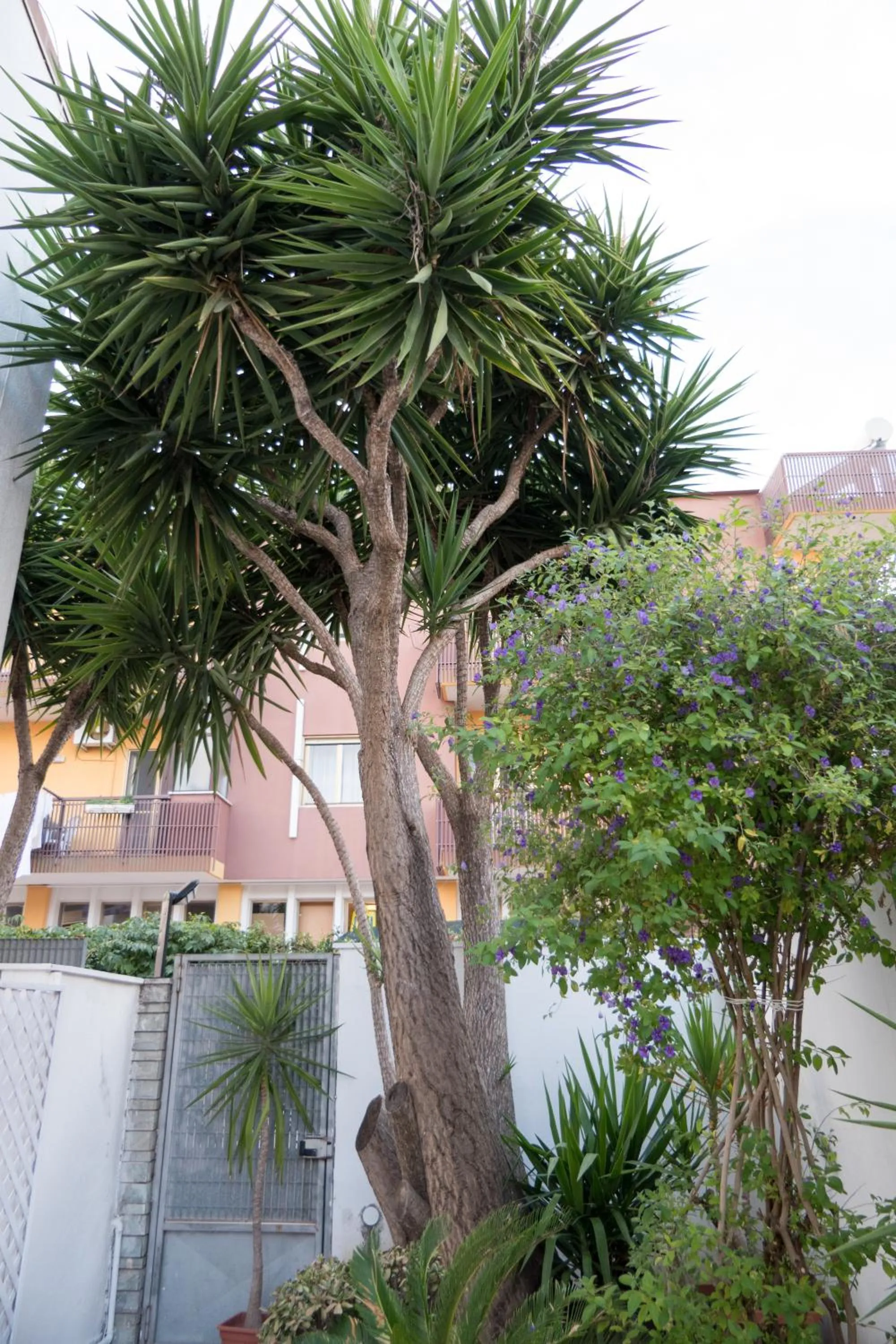 Property building in Yucca Camere & Suite