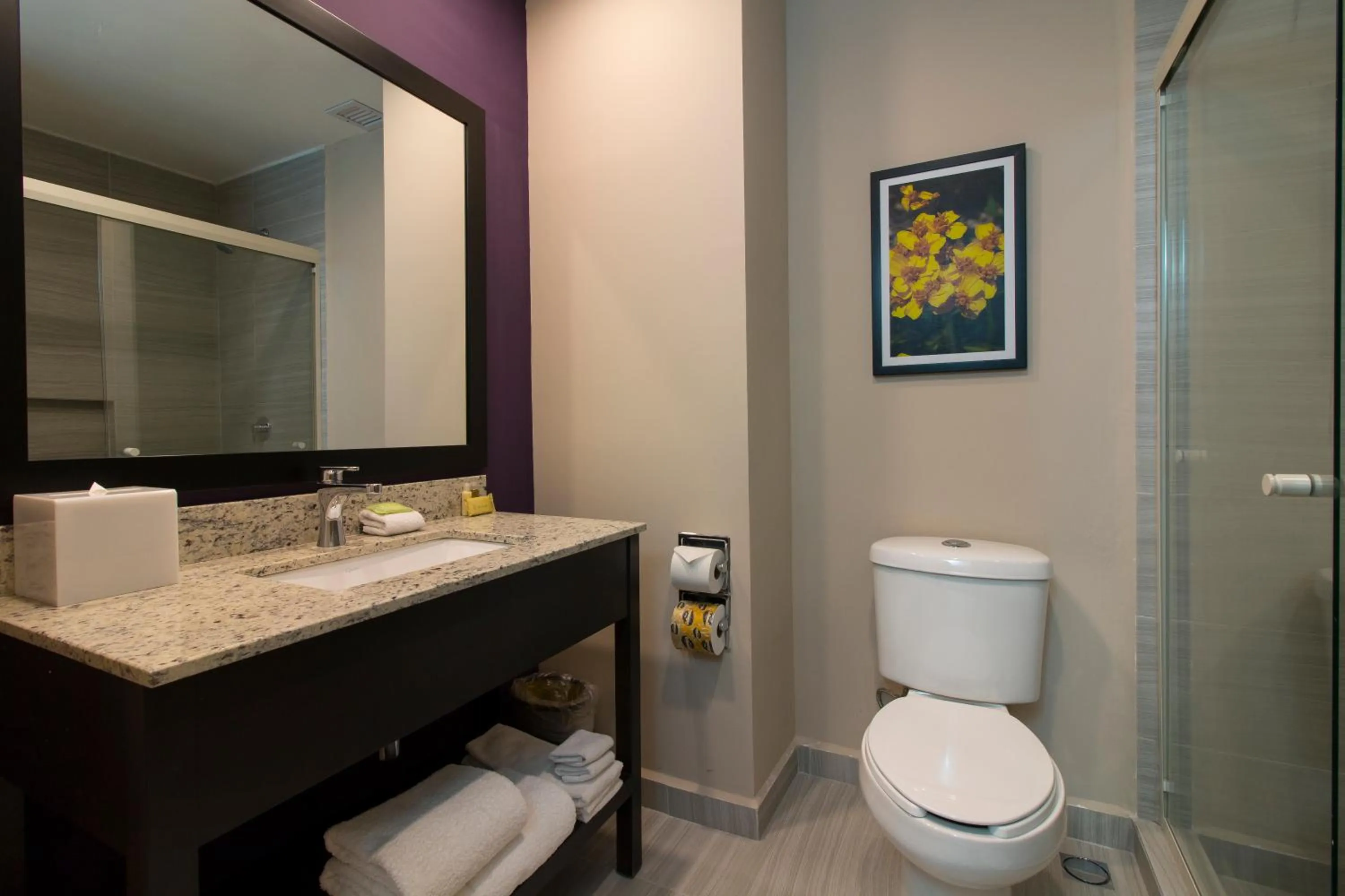 Bathroom in CHN Hotel Monterrey Aeropuerto, Trademark by Wyndham