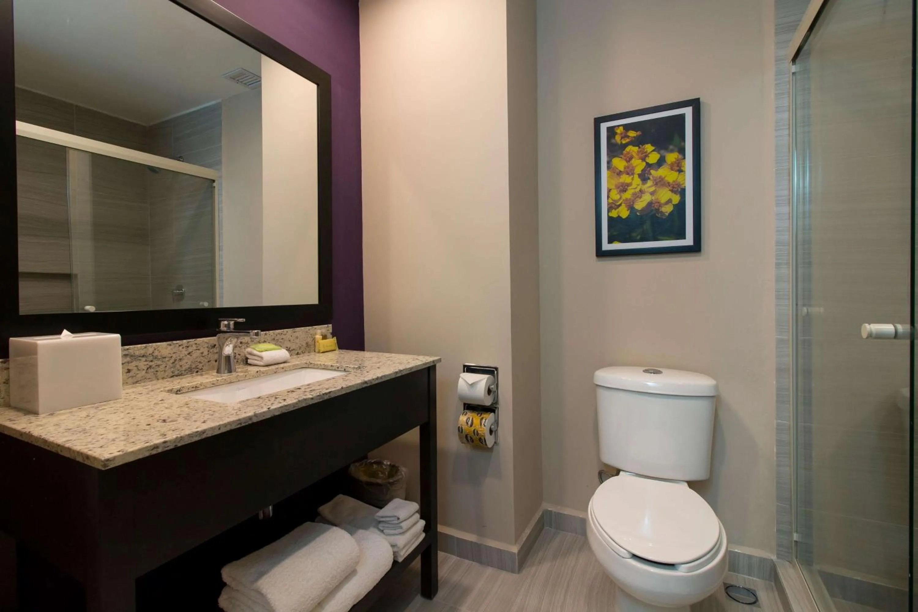 Bathroom in CHN Hotel Monterrey Aeropuerto, Trademark by Wyndham