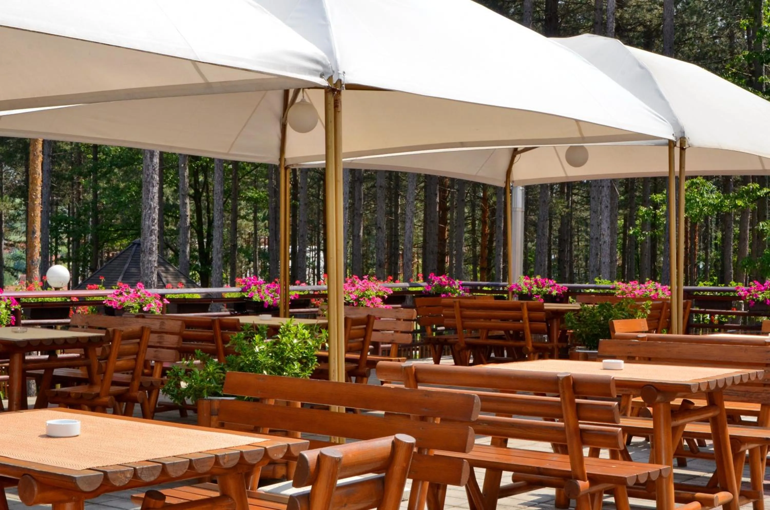 Balcony/Terrace in Hotel Zlatiborska Noc