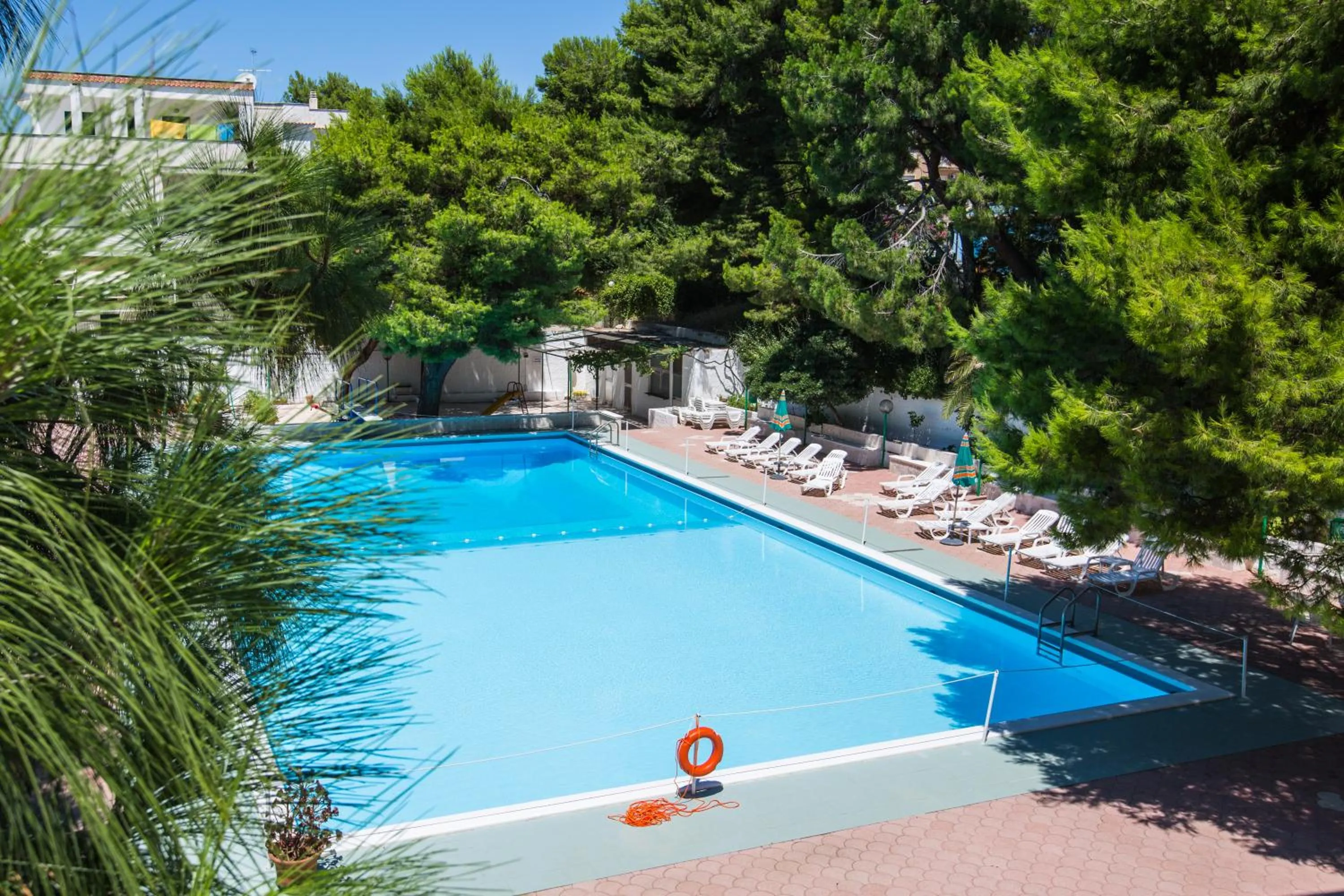 Swimming pool in Hotel Mediterraneo