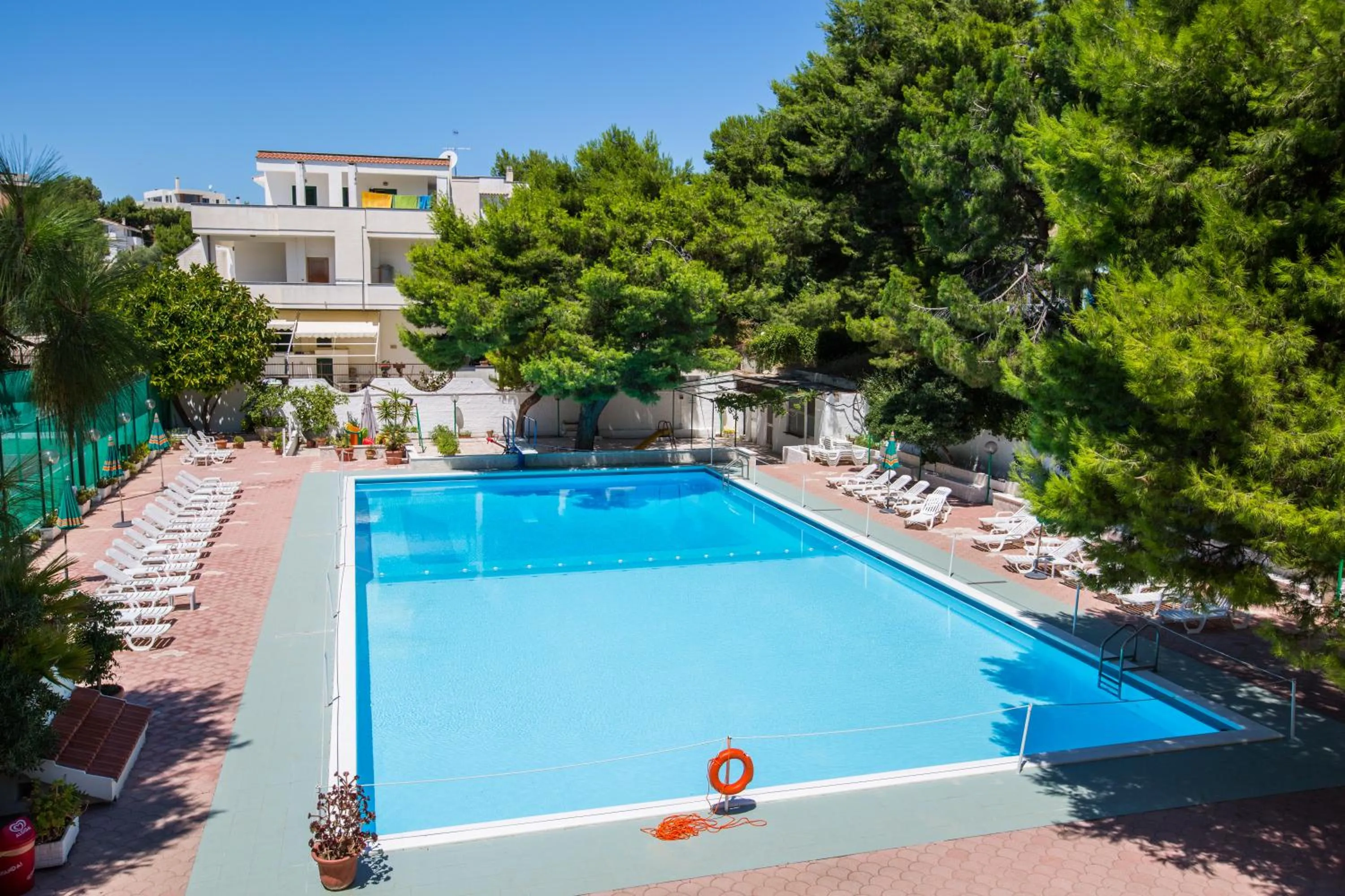 Swimming pool in Hotel Mediterraneo