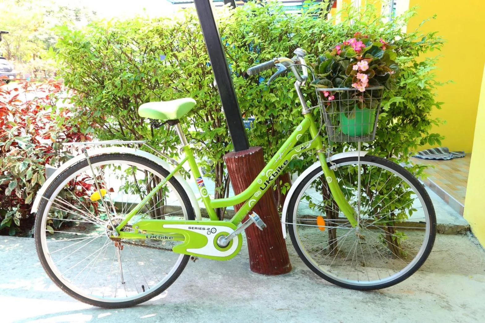 Cycling in The Moonlight Resort