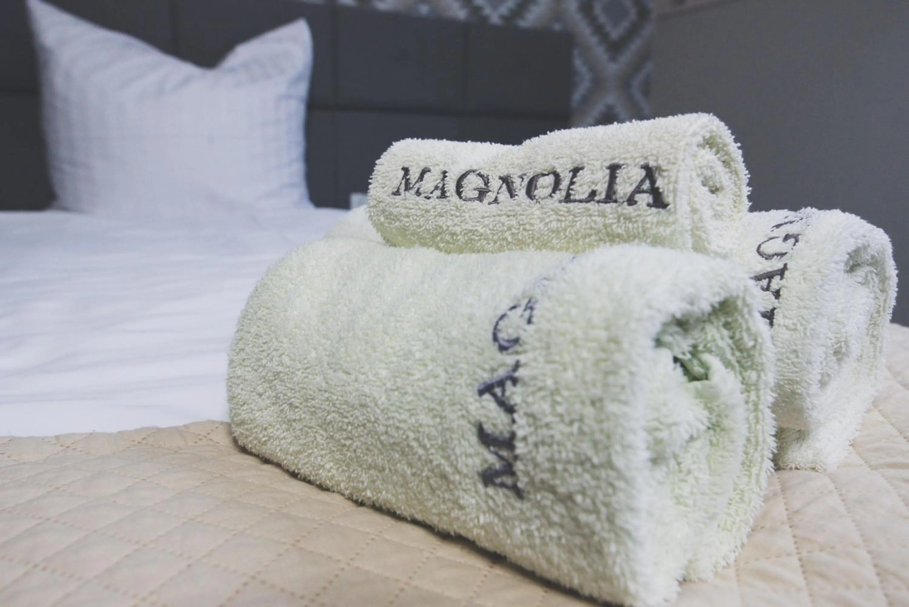 Photo of the whole room in Magnolia Hotel&Restauracja