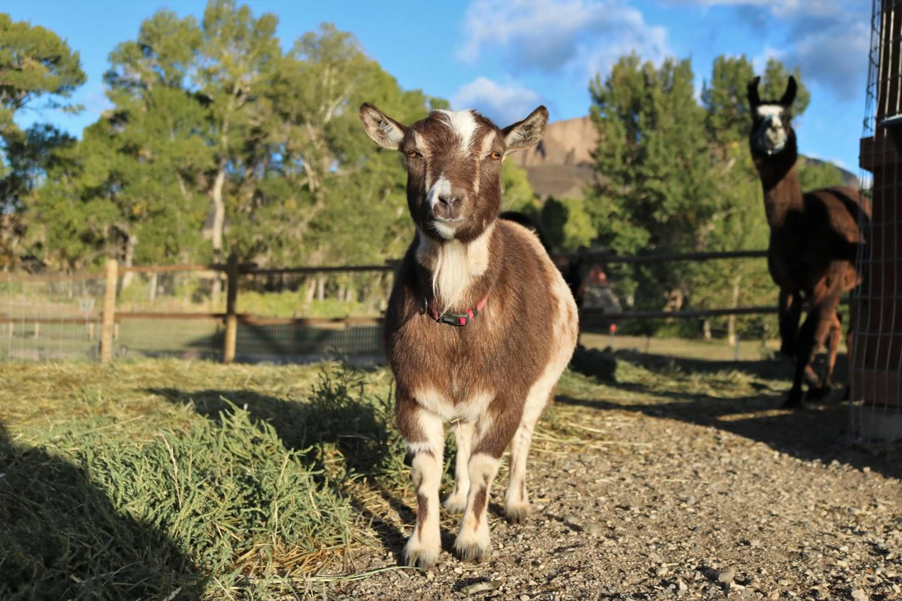 Eycat Lodging Company Guest House