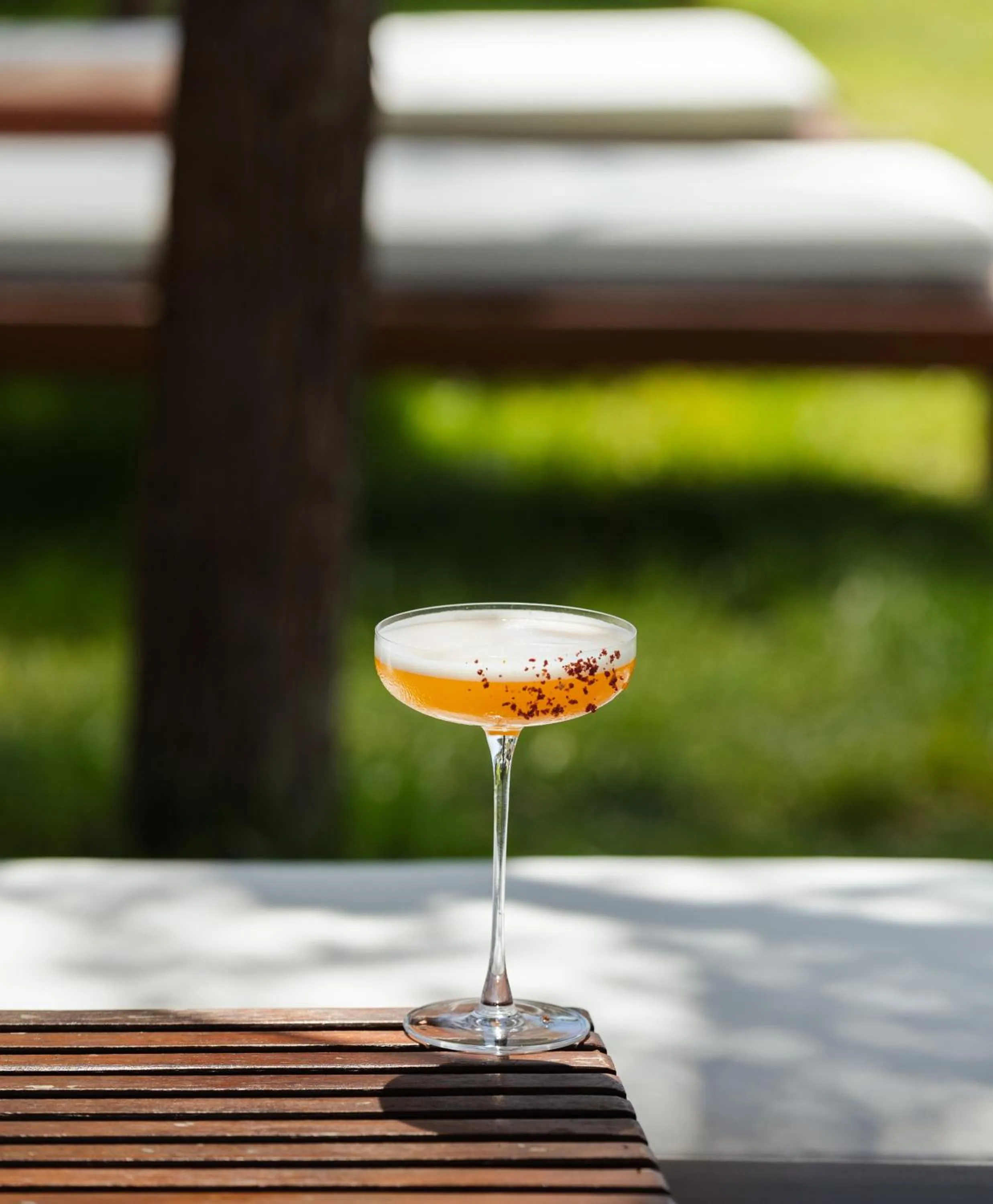 Lounge or bar in Ortunc Hotel - Cunda Island (Adult Only)