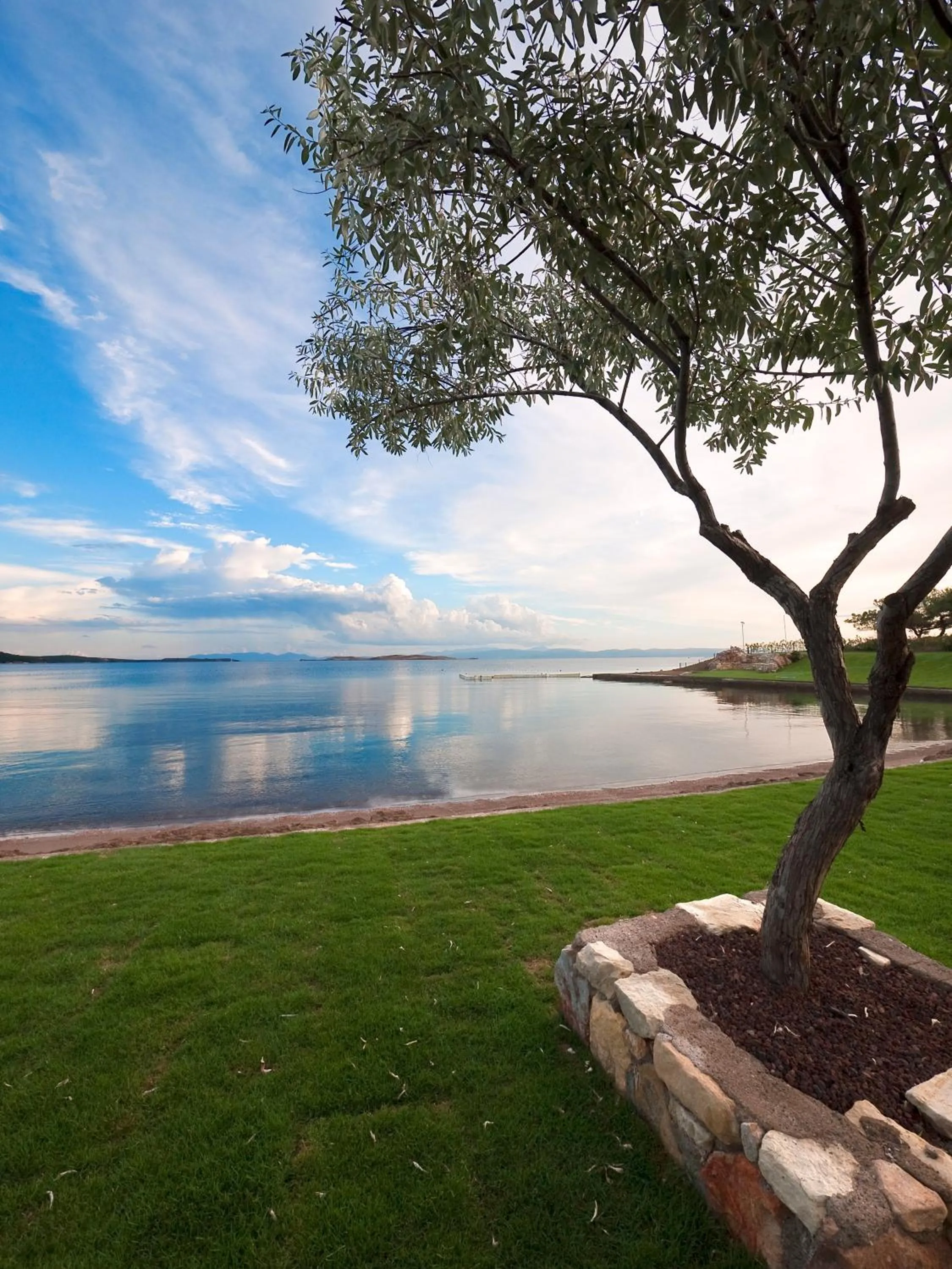 Natural landscape in Ortunc Hotel - Cunda Island (Adult Only)