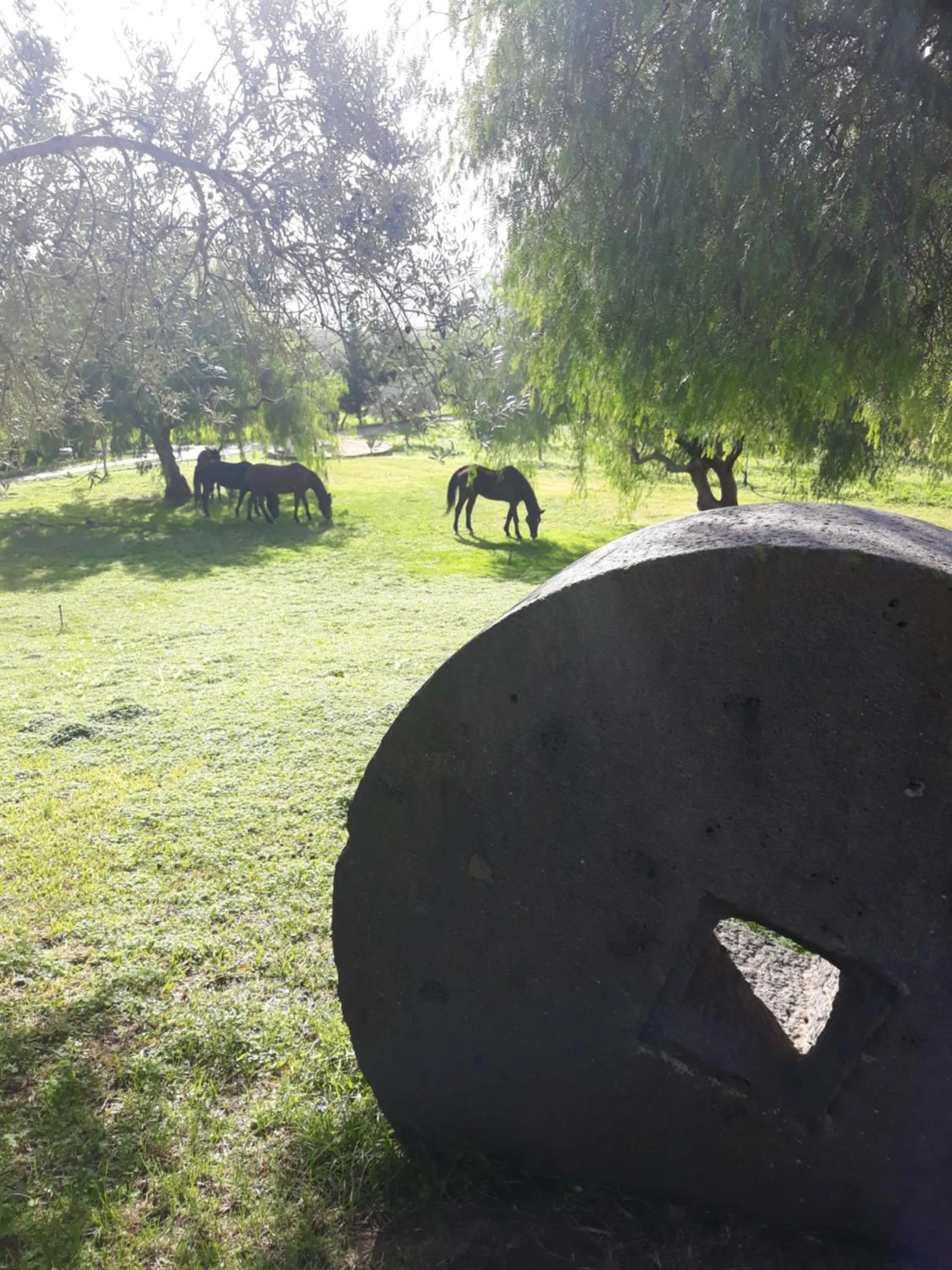 Garden view in Colle San Mauro