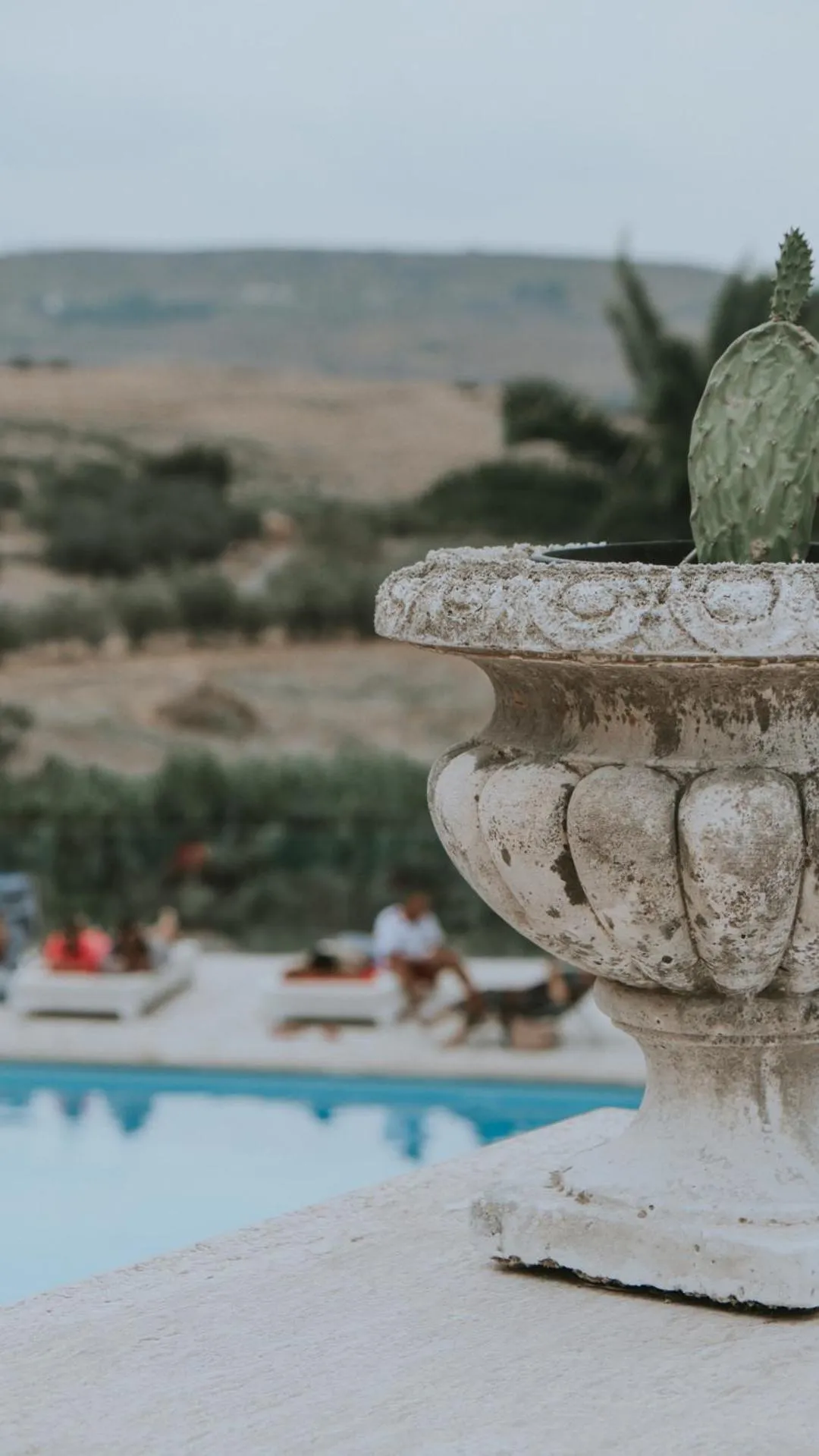 View (from property/room) in Colle San Mauro