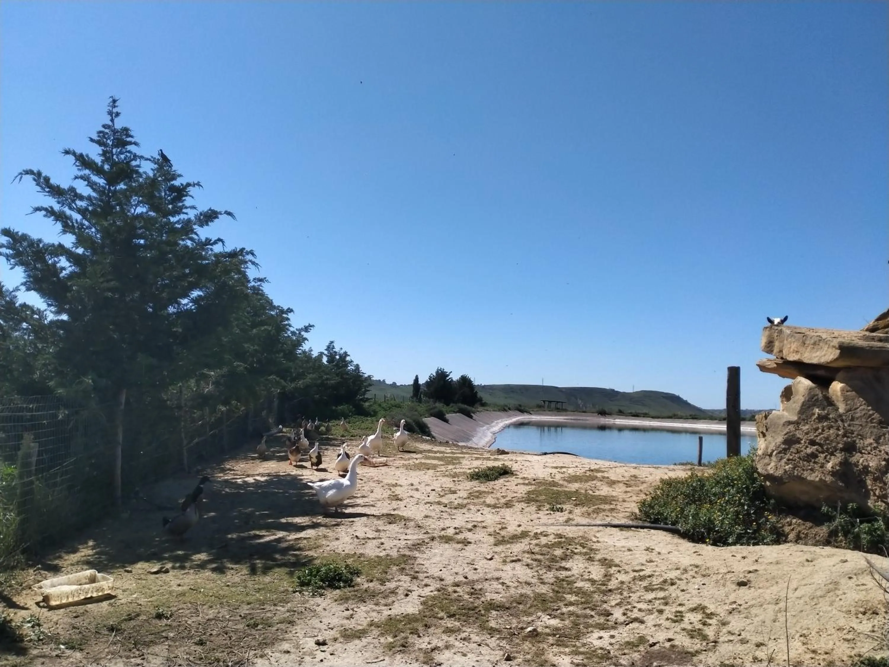 Natural landscape in Colle San Mauro